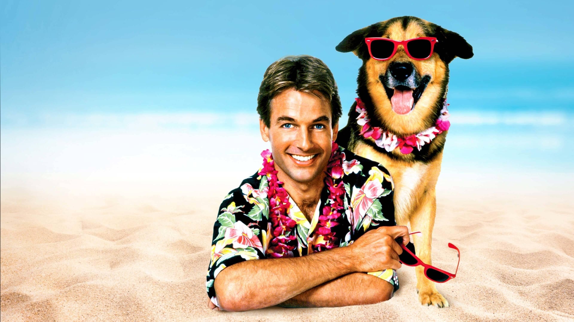 Foto do filme Curso de Verão