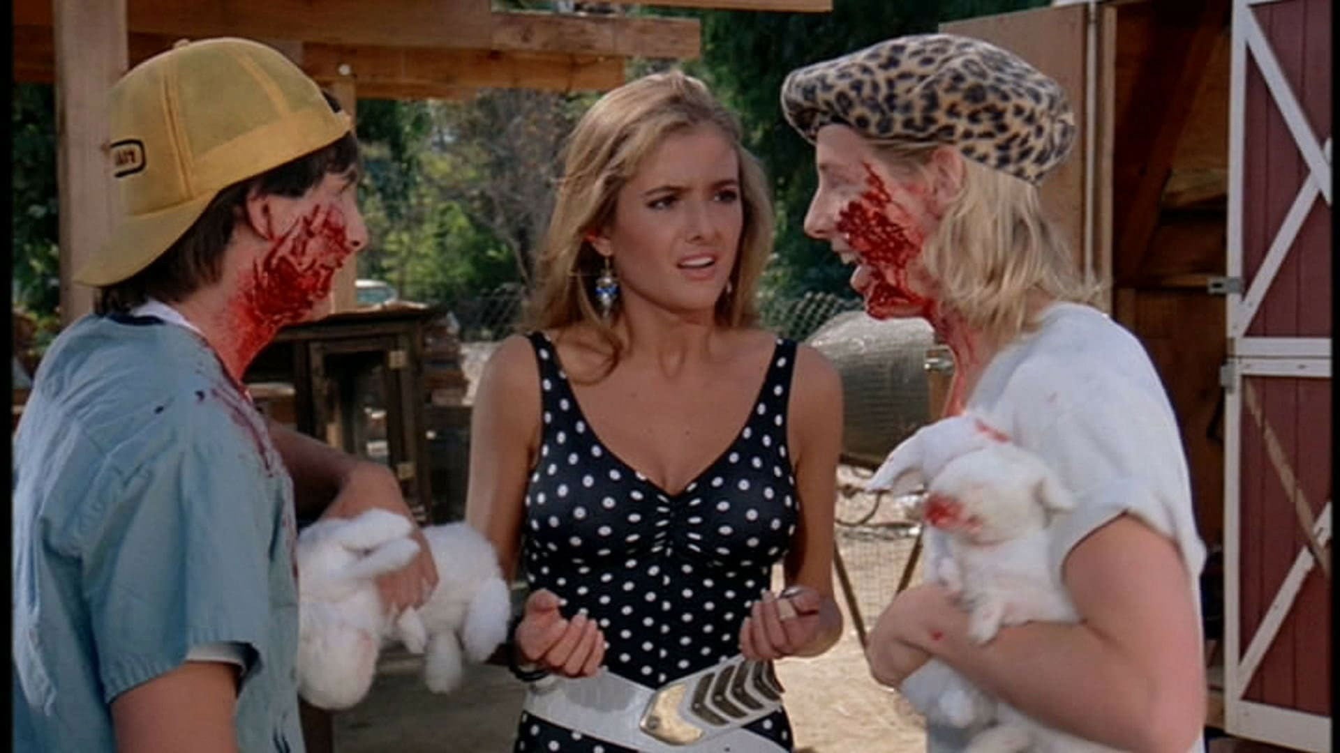 Foto do filme Curso de Verão