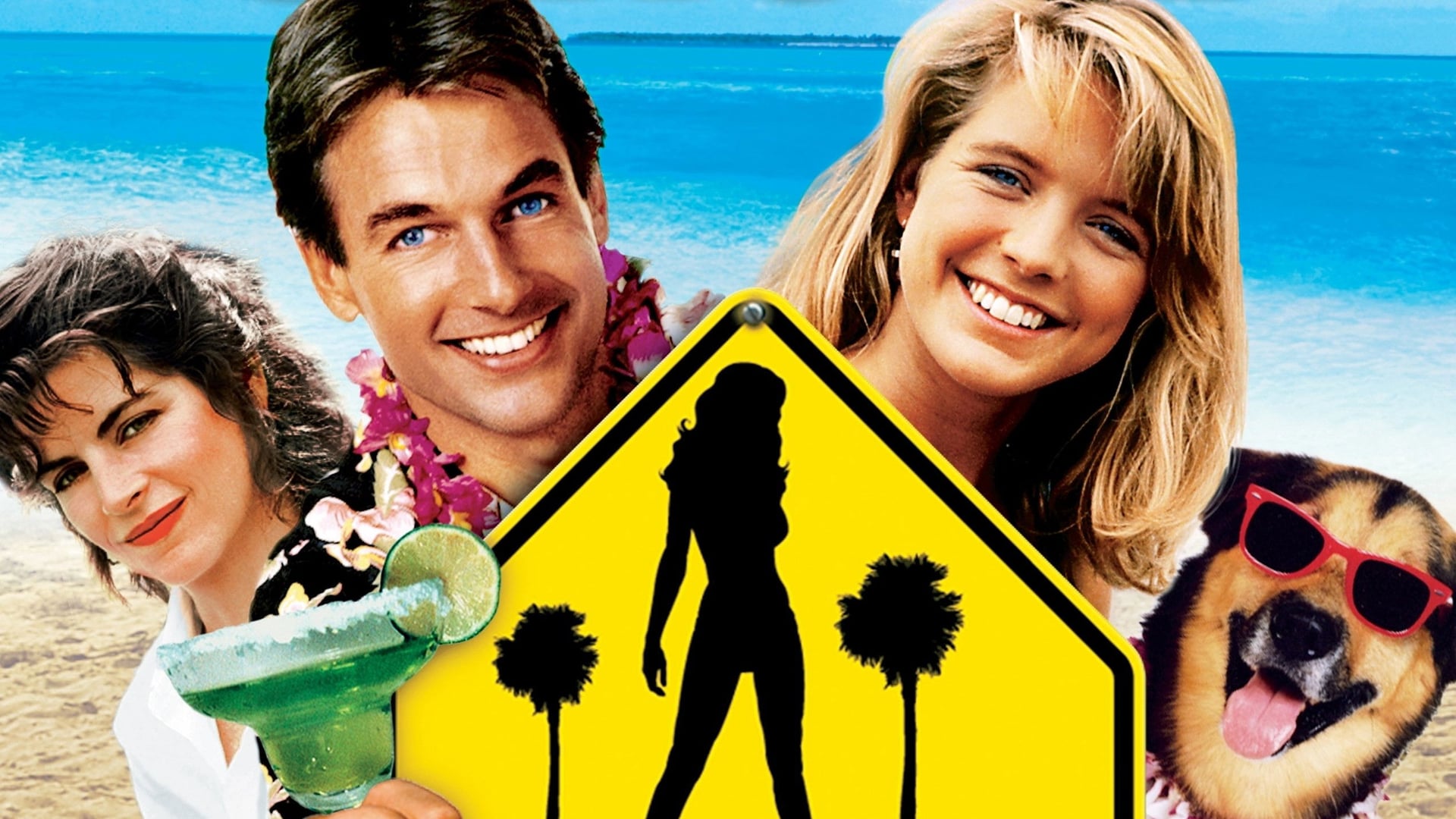 Foto do filme Curso de Verão