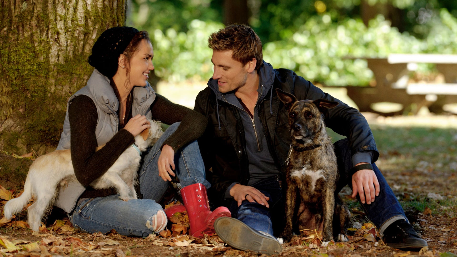 Foto do filme A Bride for Christmas