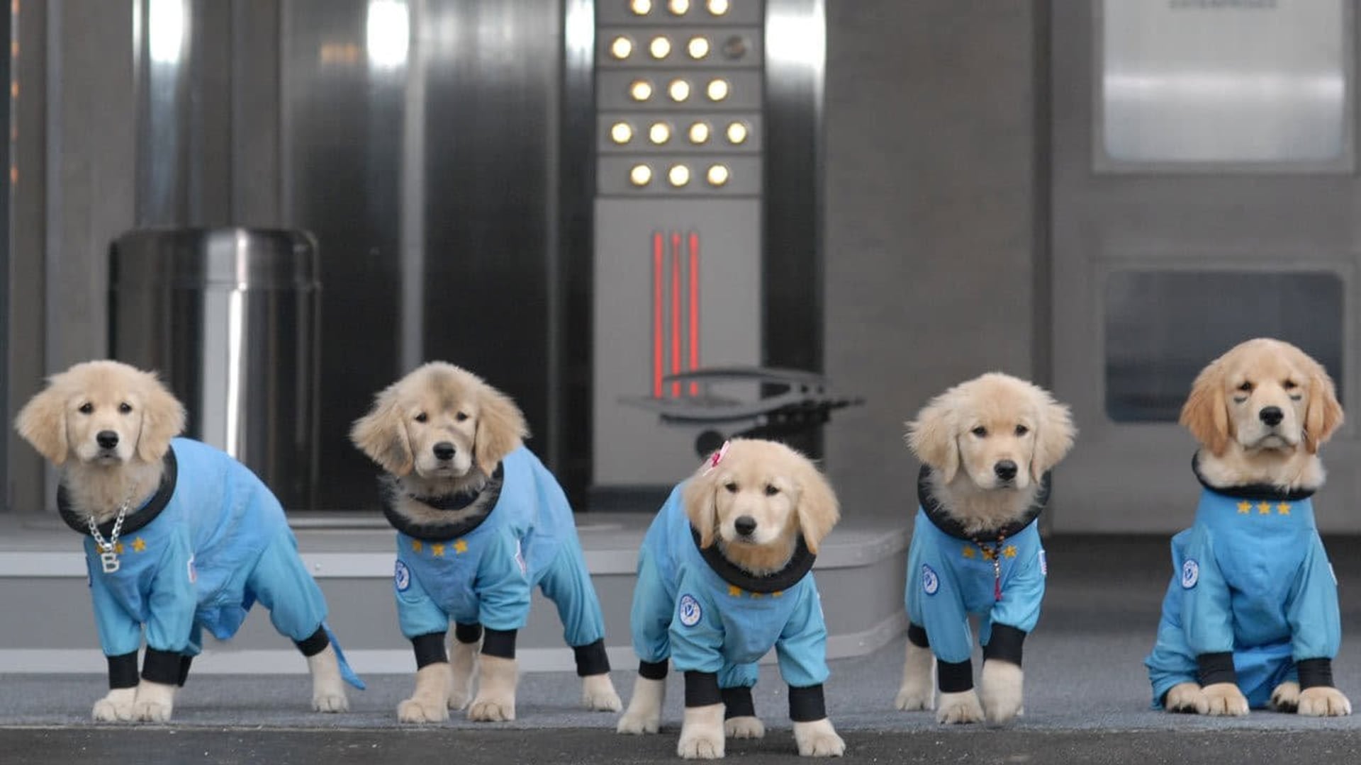 Foto do filme Space Buddies: Uma Aventura no Espaço