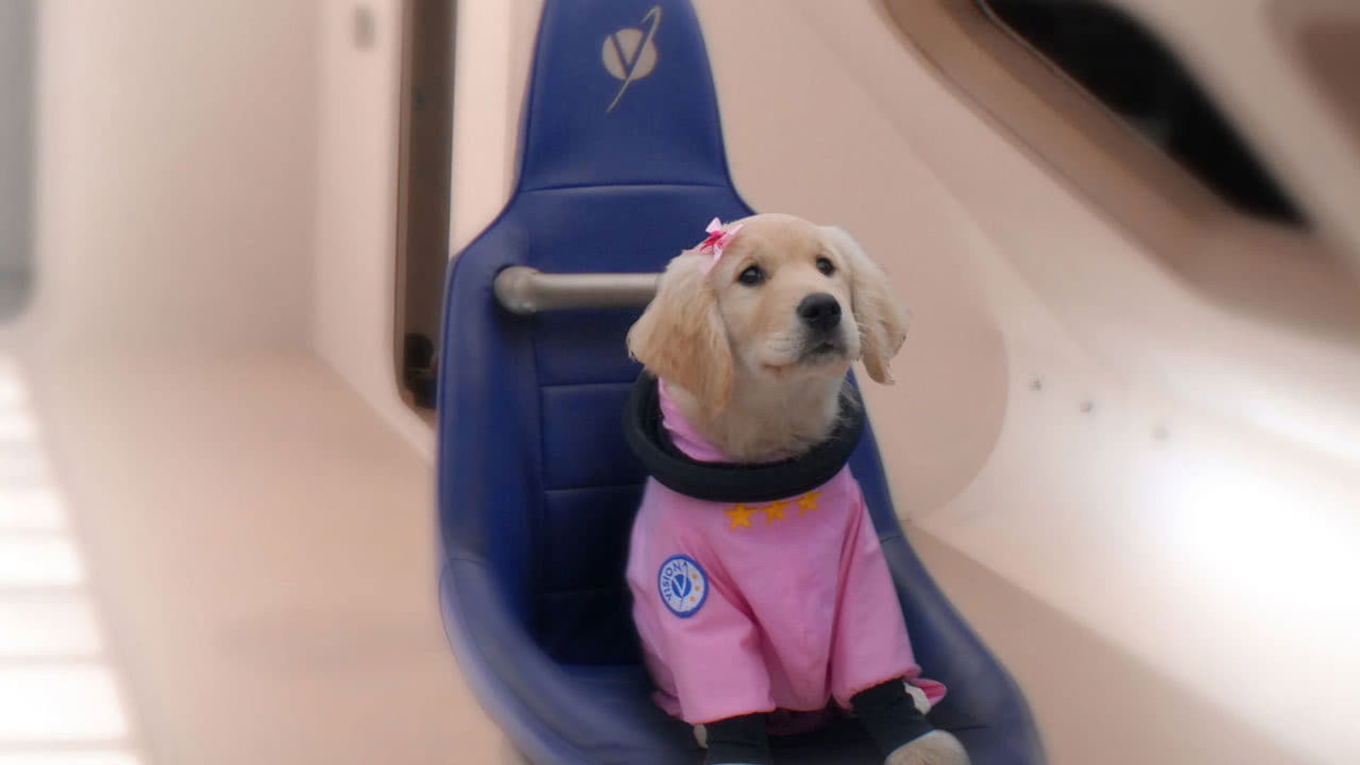 Foto do filme Space Buddies: Uma Aventura no Espaço