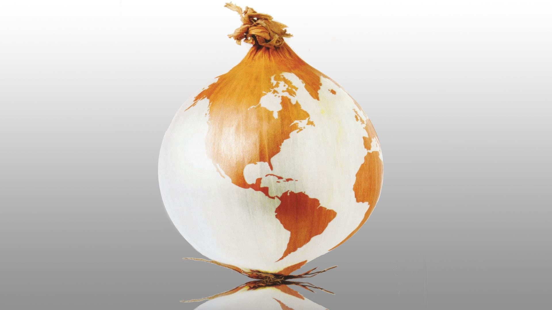 Foto do filme Loucos Pela Notícia