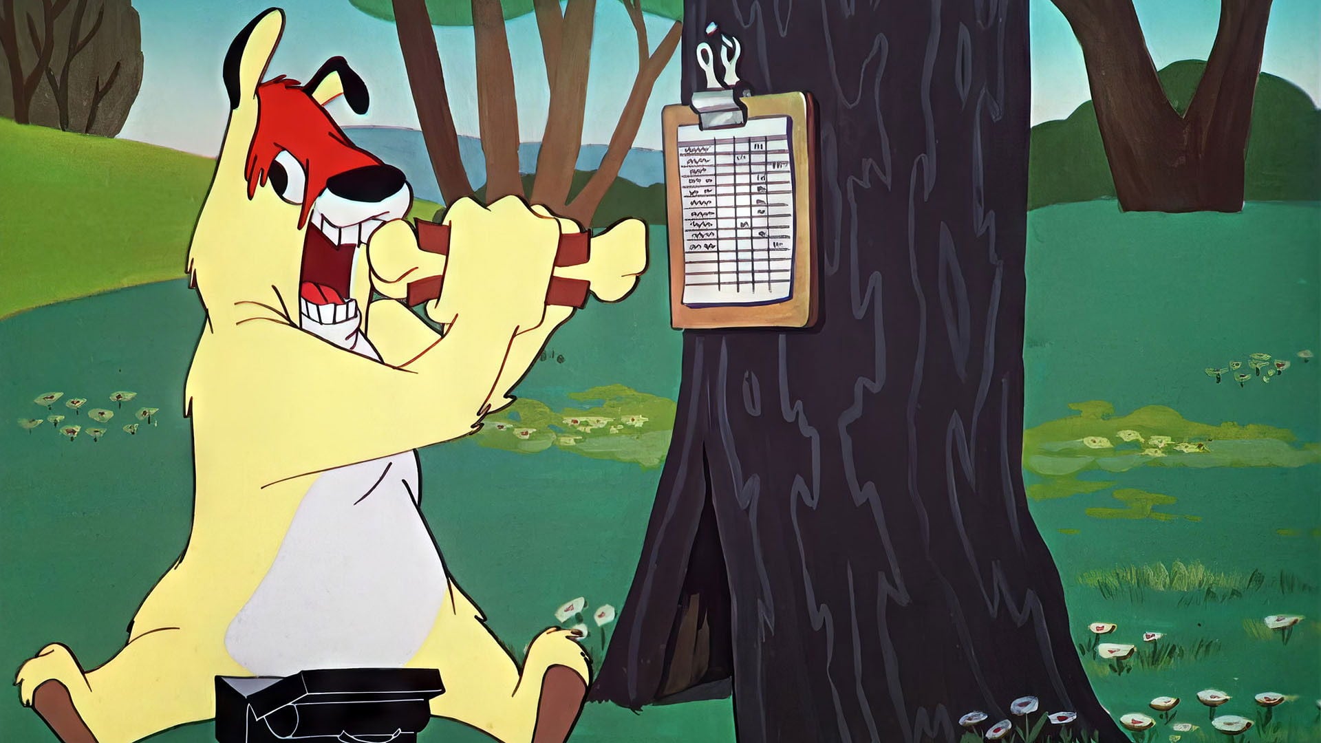 Foto do filme Don't Give Up the Sheep