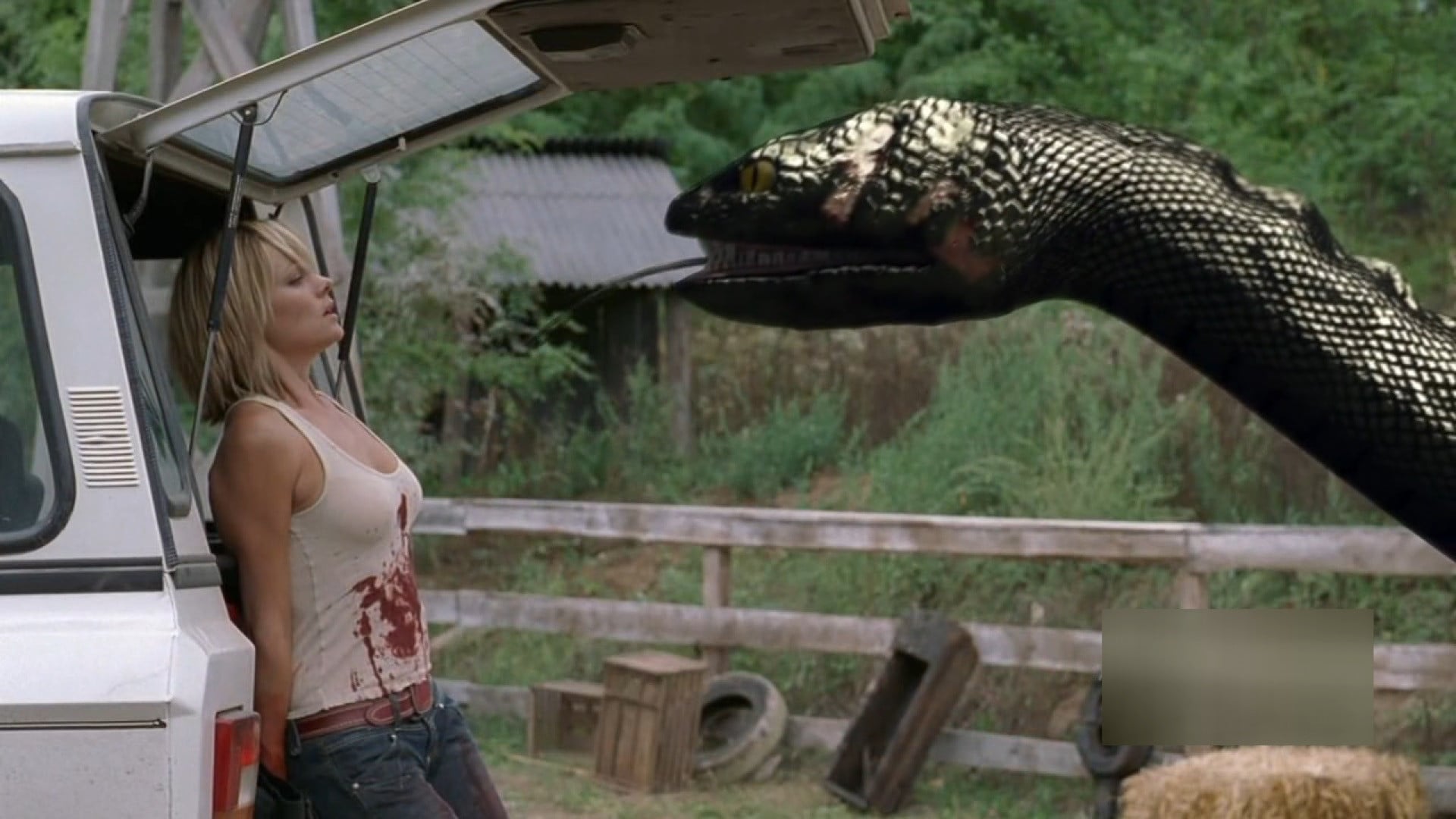 Foto do filme Anaconda 3