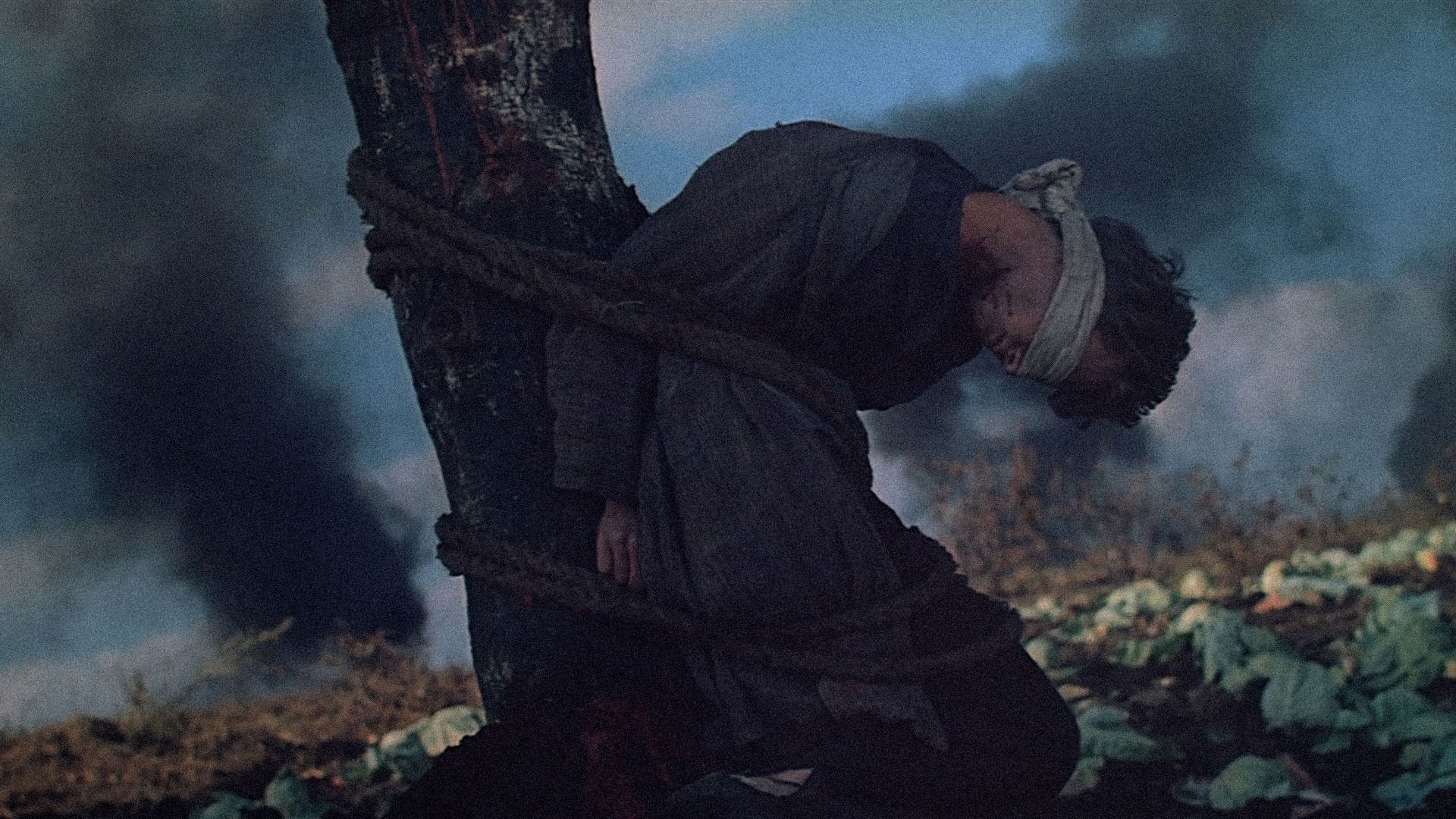 Foto do filme Guerra e Paz, Parte 4: Pierre Bezukhov