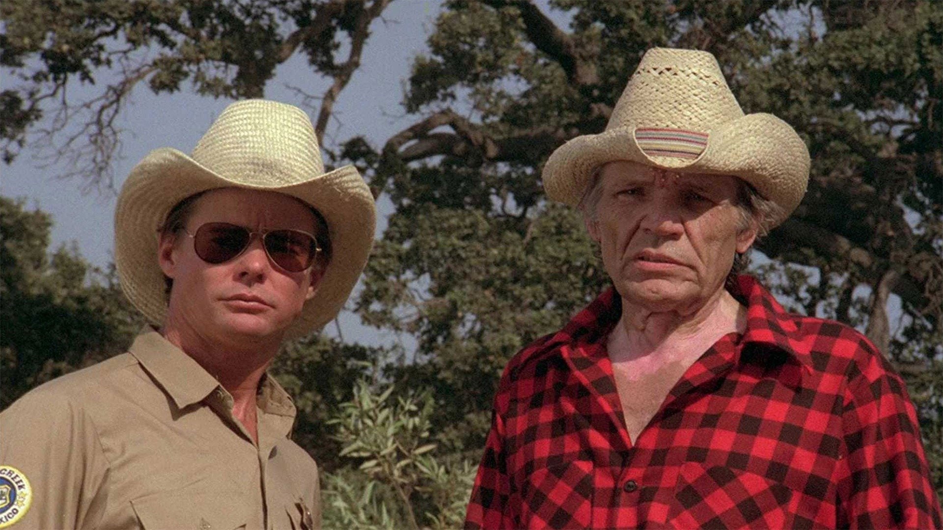 Foto do filme O Retorno