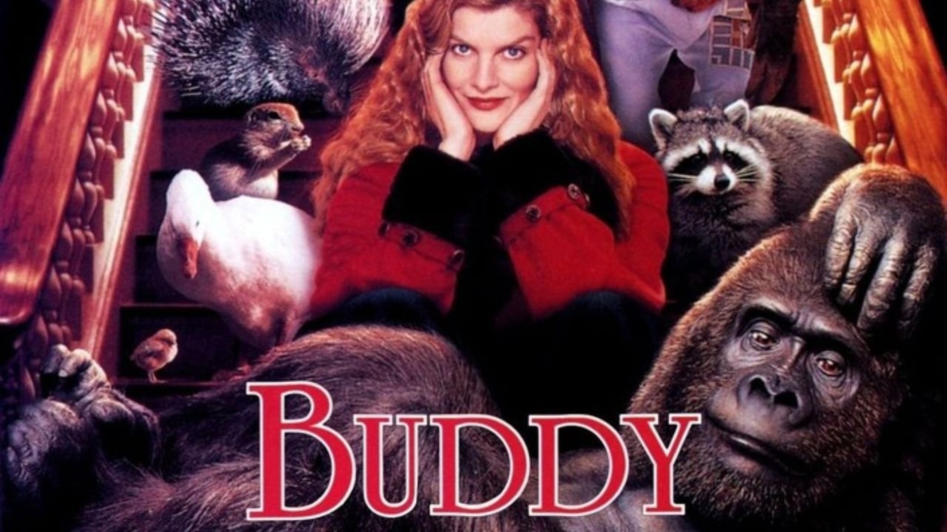 Foto do filme Buddy, Meu Gorila Favorito