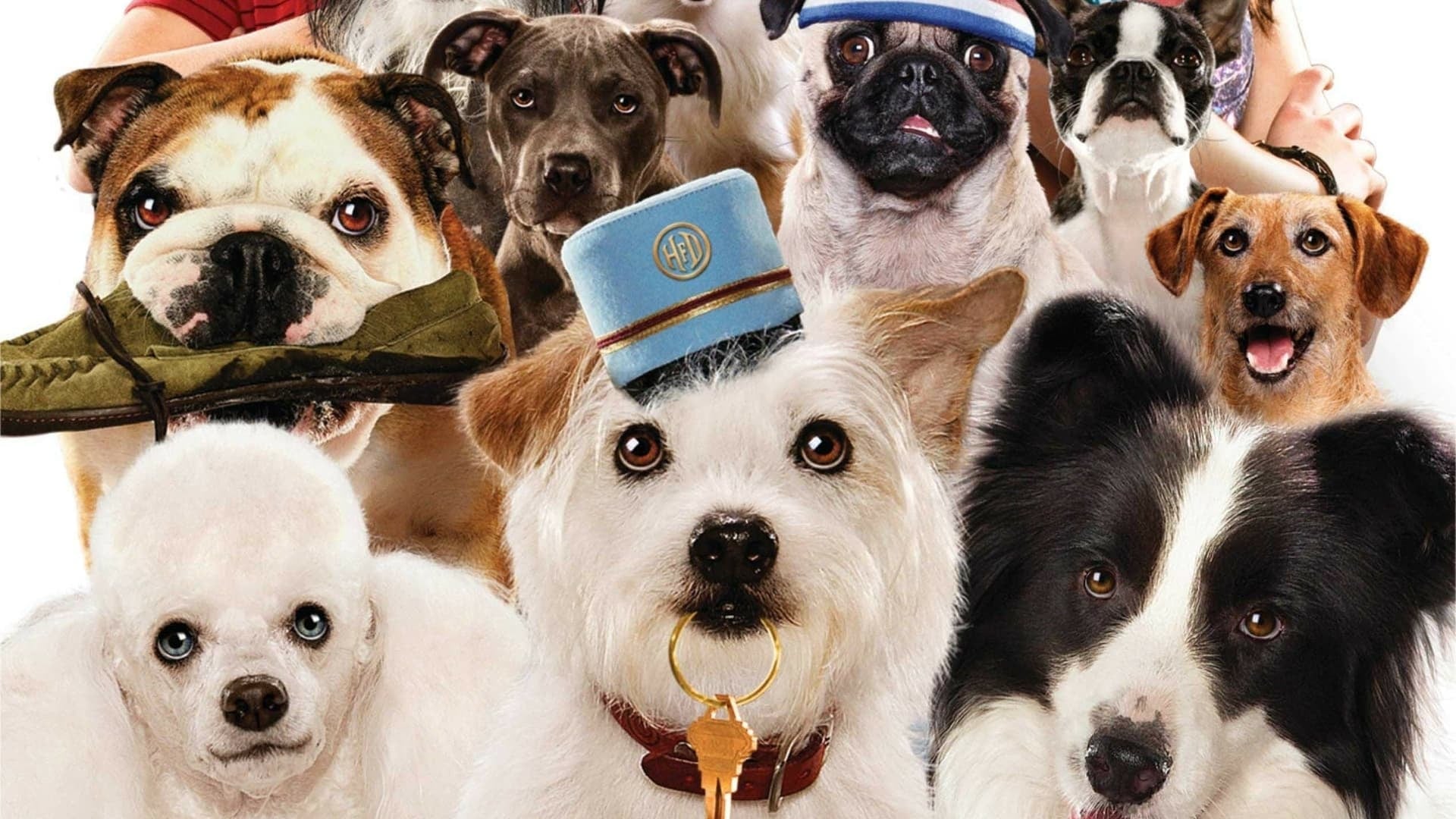Foto do filme Um Hotel Bom pra Cachorro