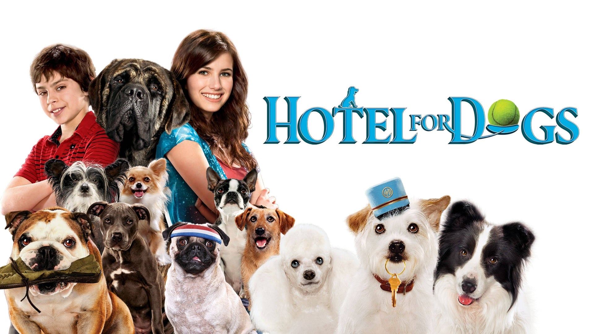 Foto do filme Um Hotel Bom pra Cachorro