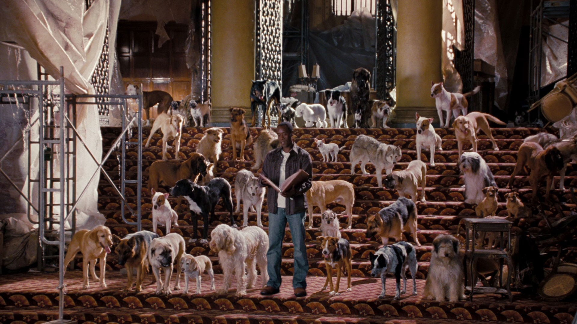 Foto do filme Um Hotel Bom pra Cachorro