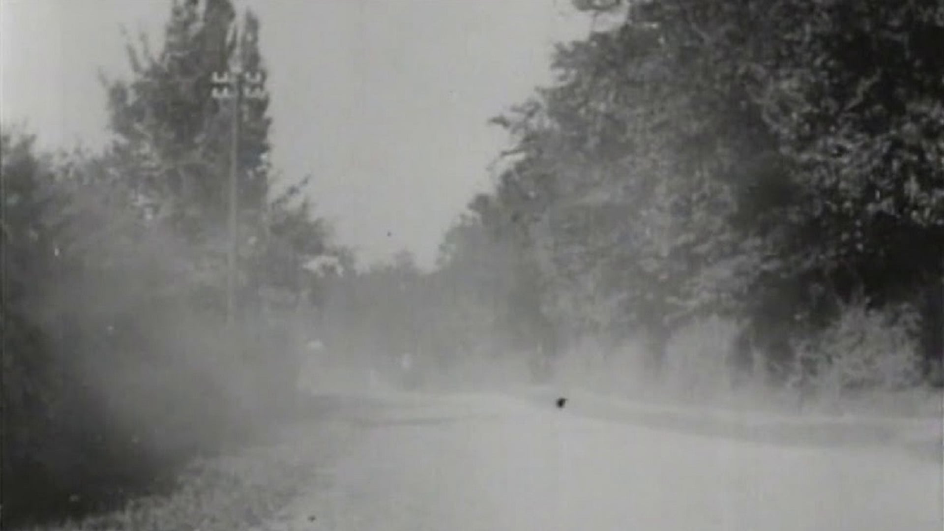 Foto do filme How It Feels to Be Run Over