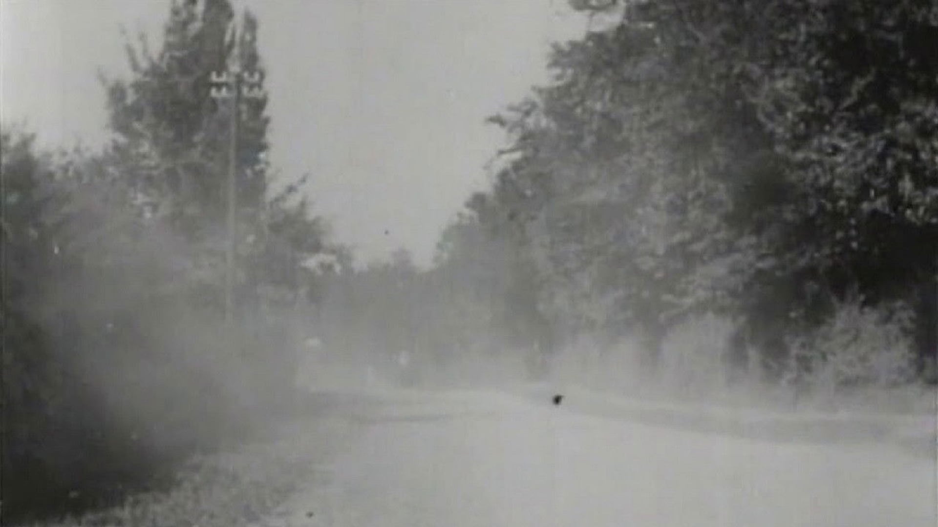 Foto do filme How It Feels to Be Run Over