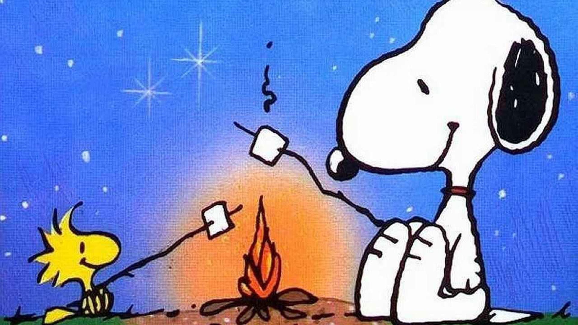 Foto do filme Volte para Casa, Snoopy