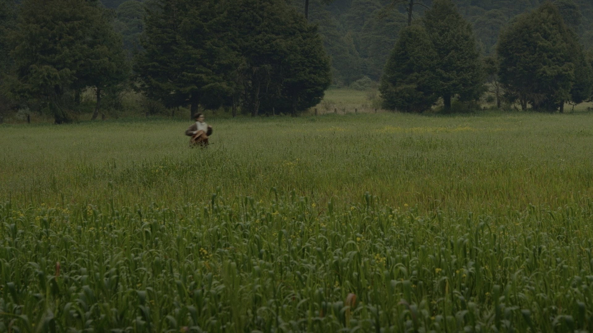 Foto do filme Para atrapar el viento