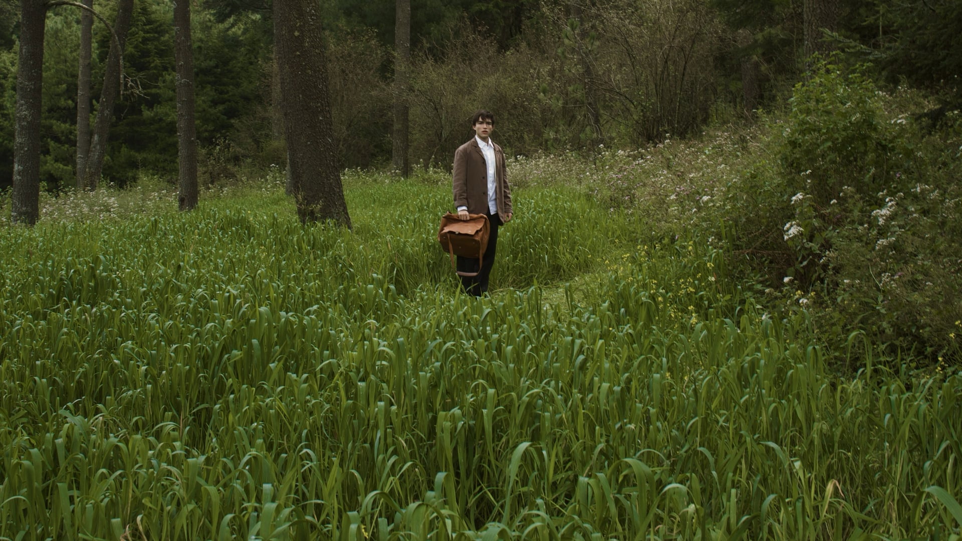 Foto do filme Para atrapar el viento