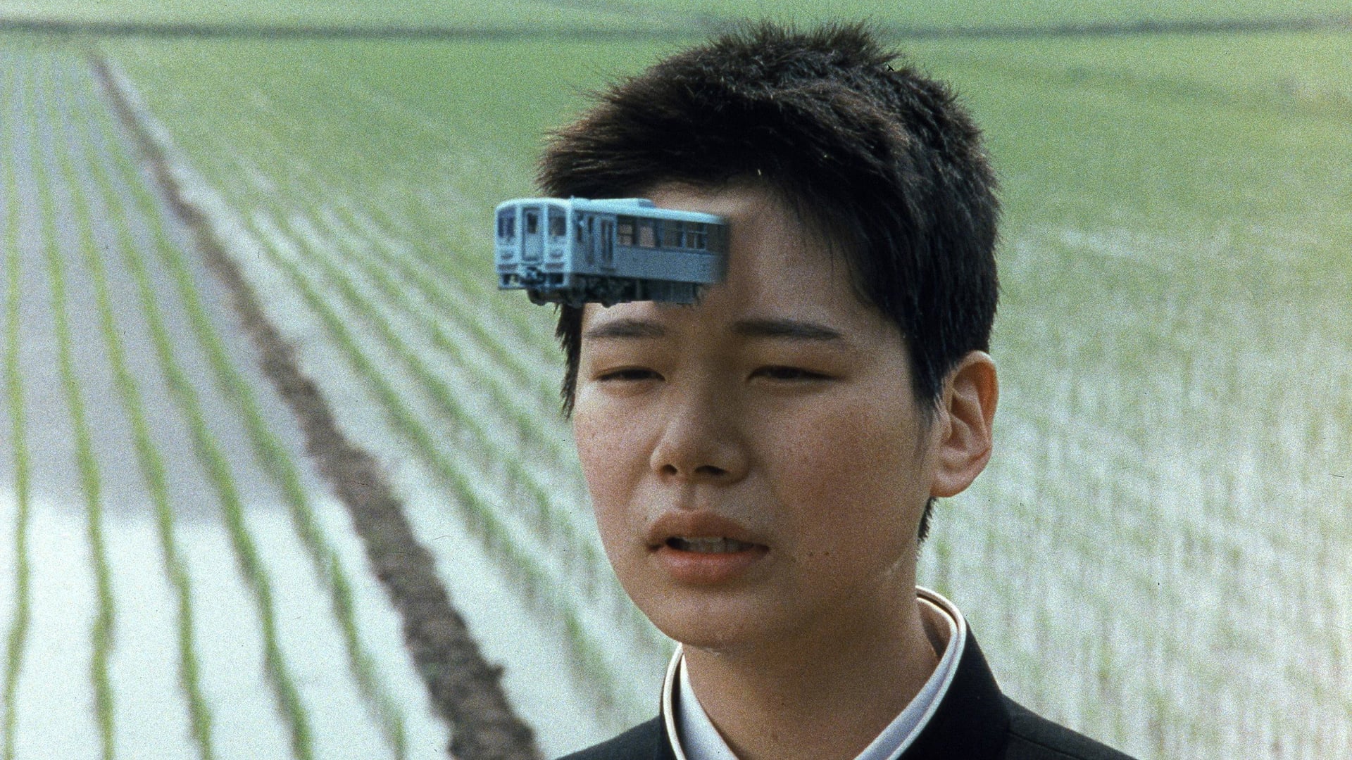 Foto do filme O Gosto do Chá