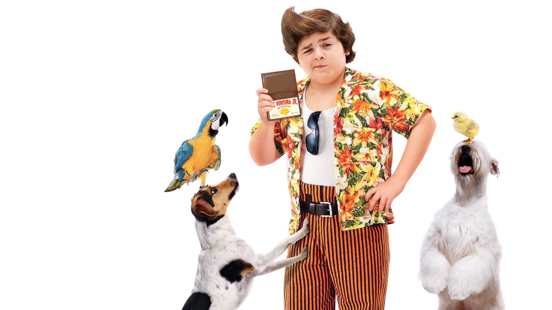 Foto do filme O Filho do Ace Ventura