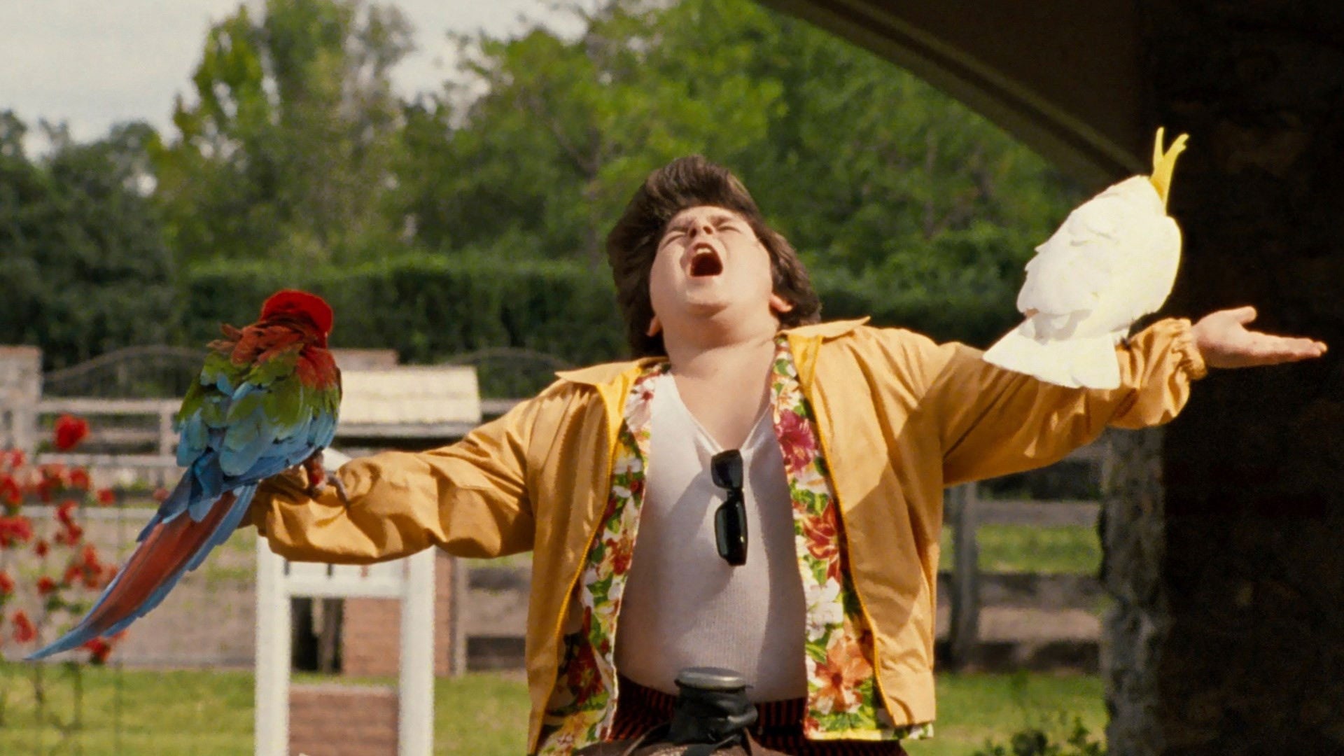 Foto do filme O Filho do Ace Ventura