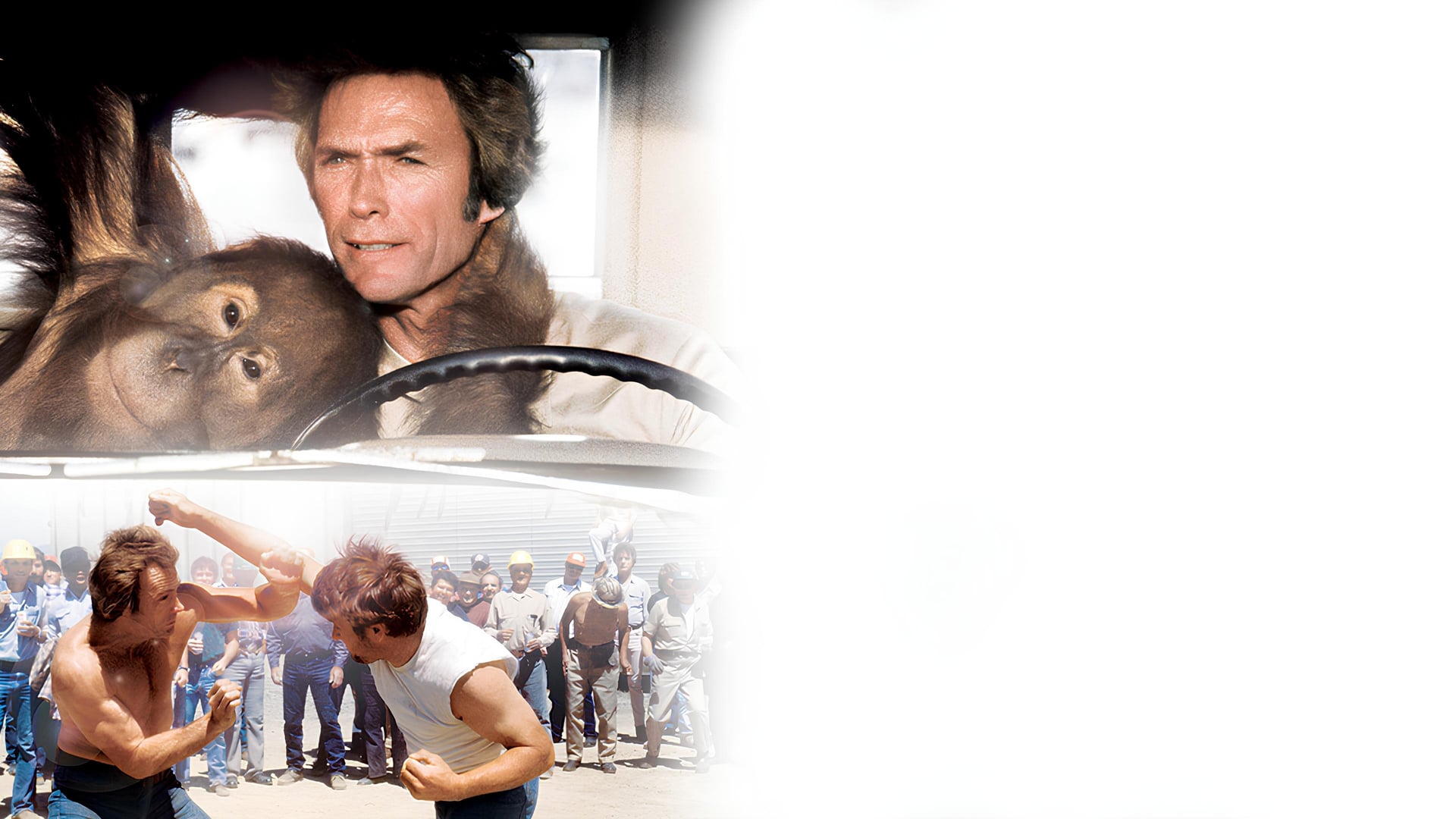 Foto do filme Doido para Brigar... Louco para Amar