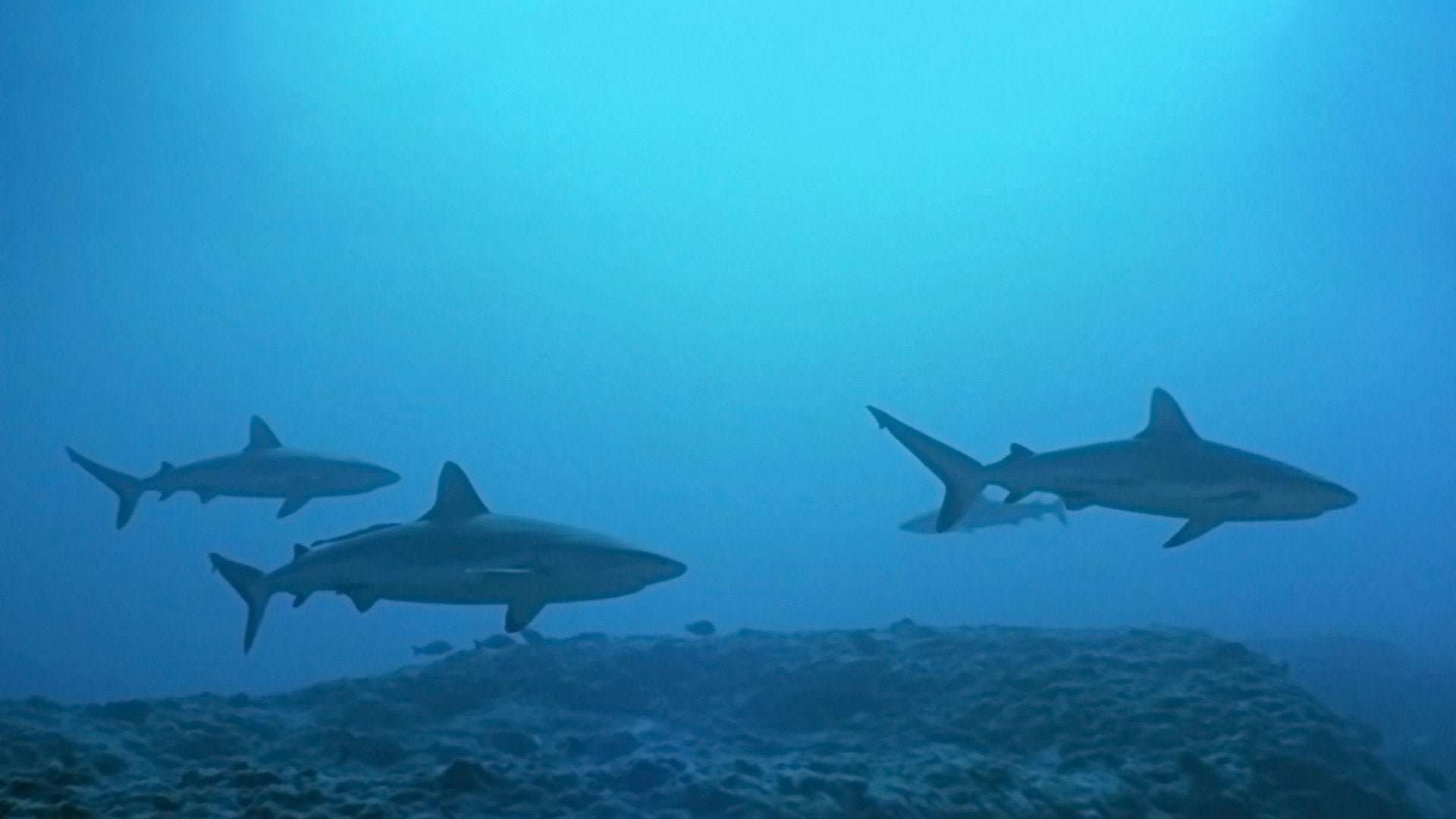 Foto do filme Atlantis