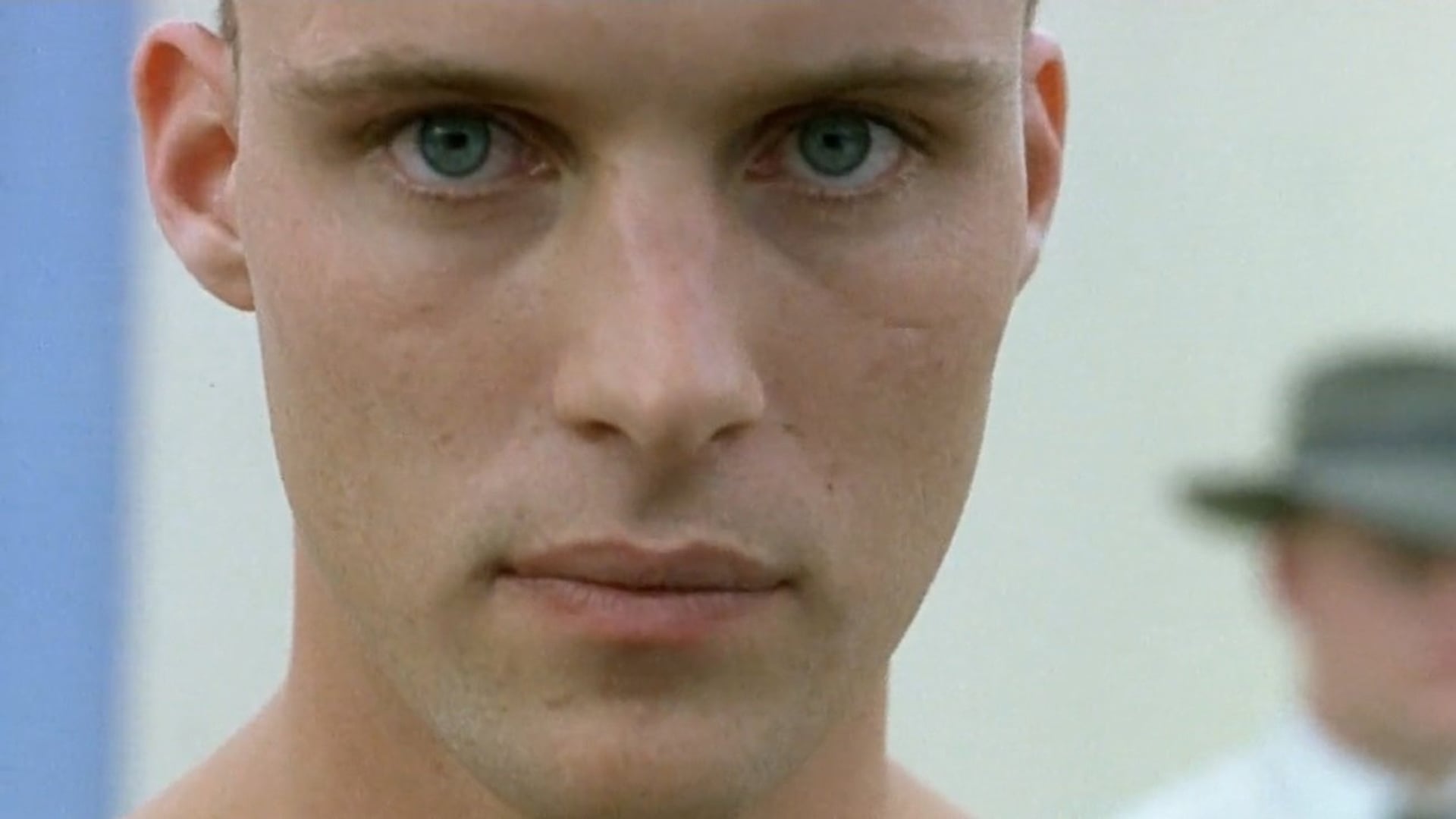 Foto do filme Swimming Upstream