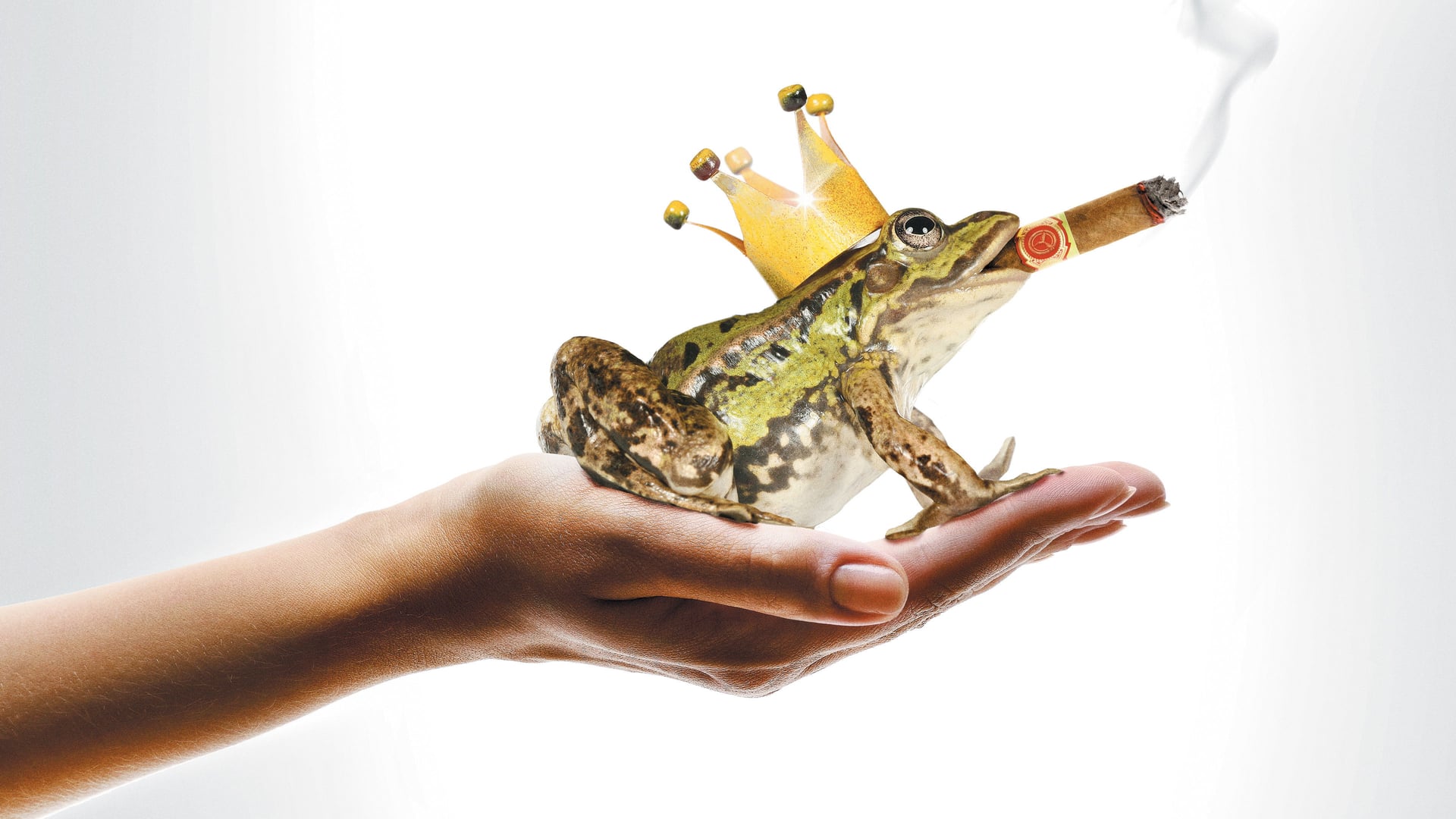 Foto do filme Un Prince (presque) charmant