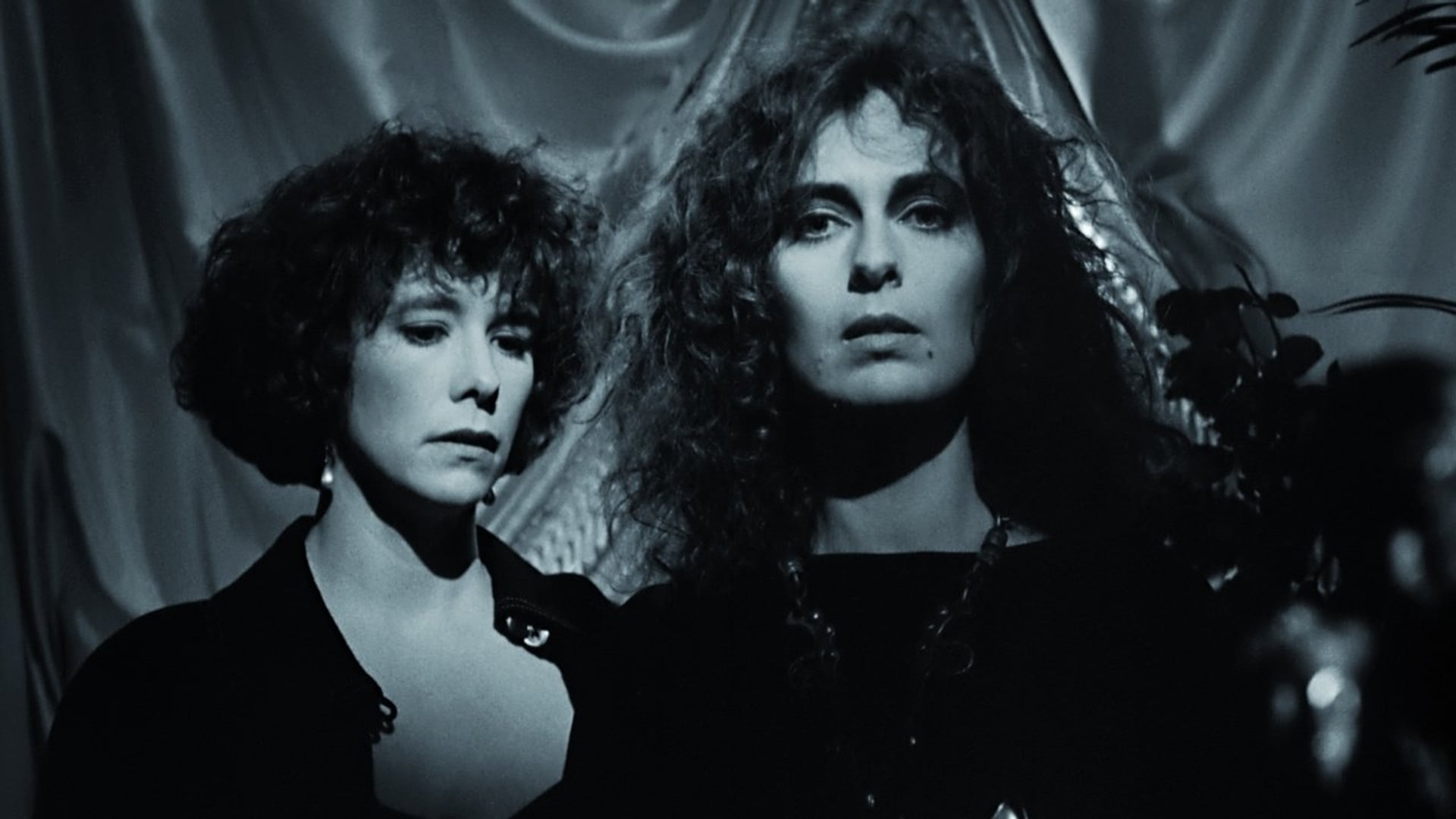 Foto do filme Singapore Sling: Ο άνθρωπος που αγάπησε ένα πτώμα