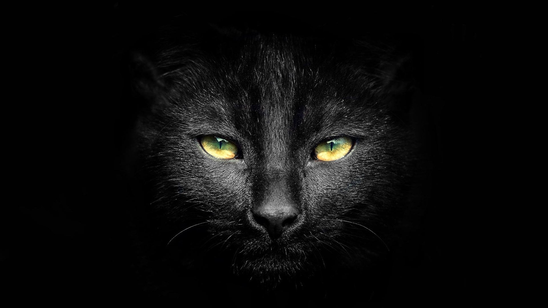 Foto do filme Sabrina, Aprendiz de Feiticeira