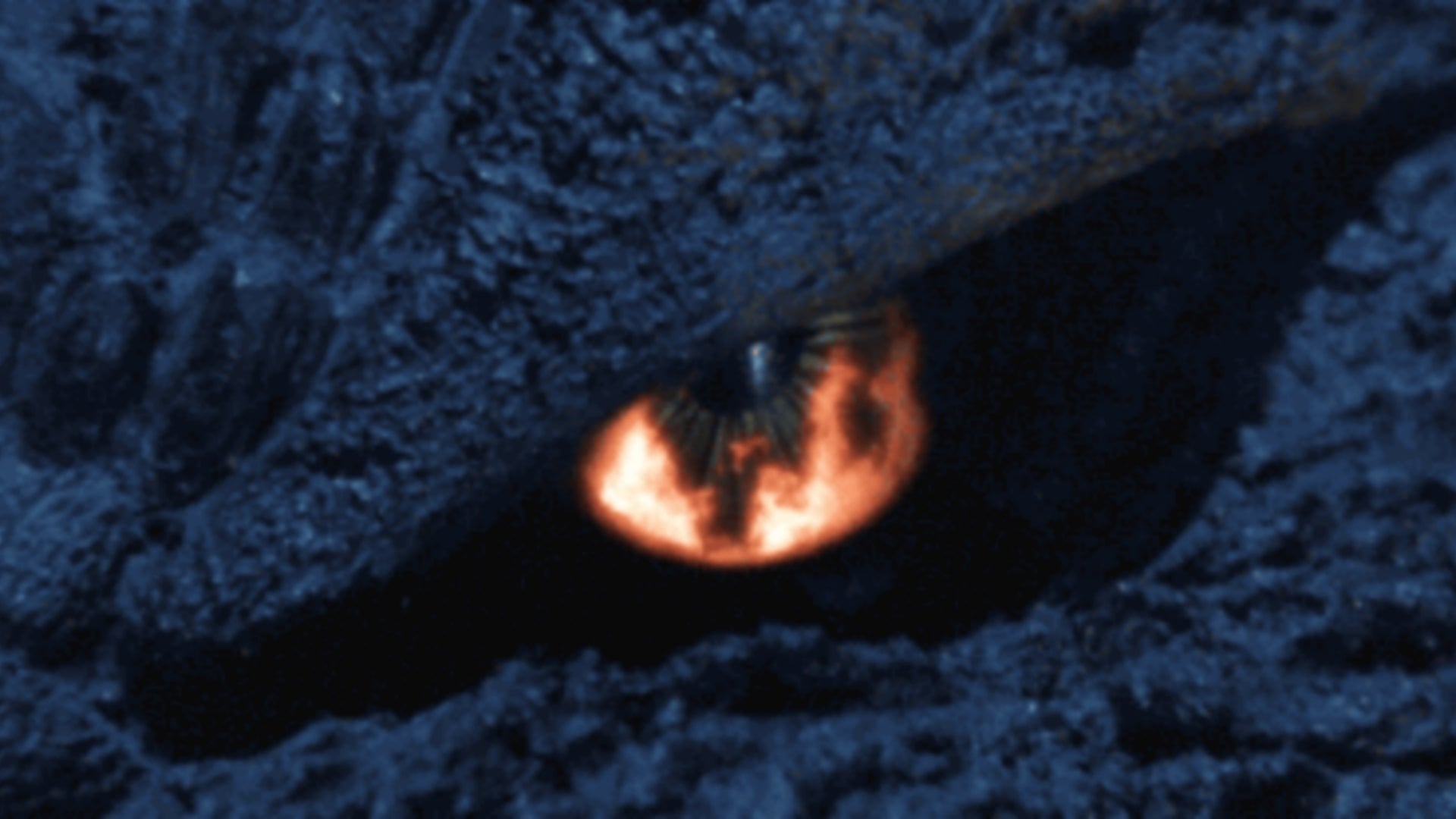 Foto do filme Godzilla: Batalha final