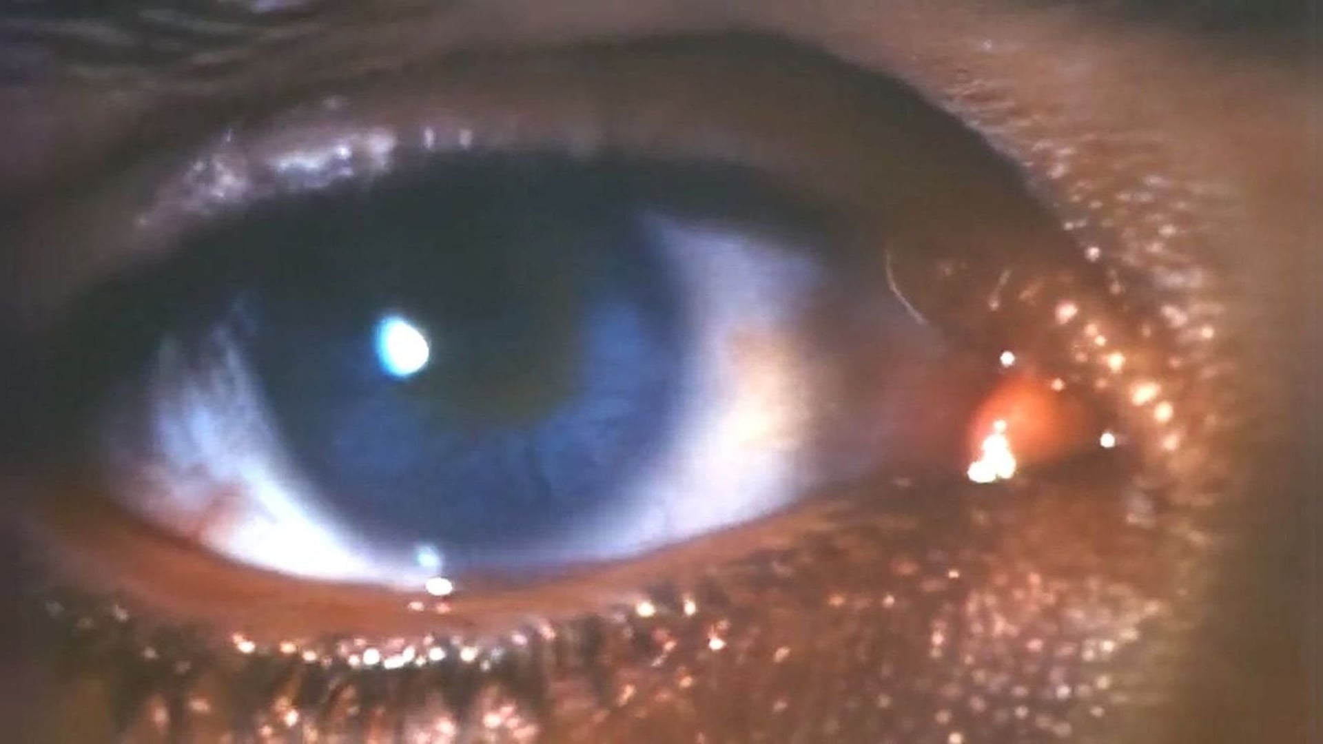 Foto do filme Faces da Morte 3