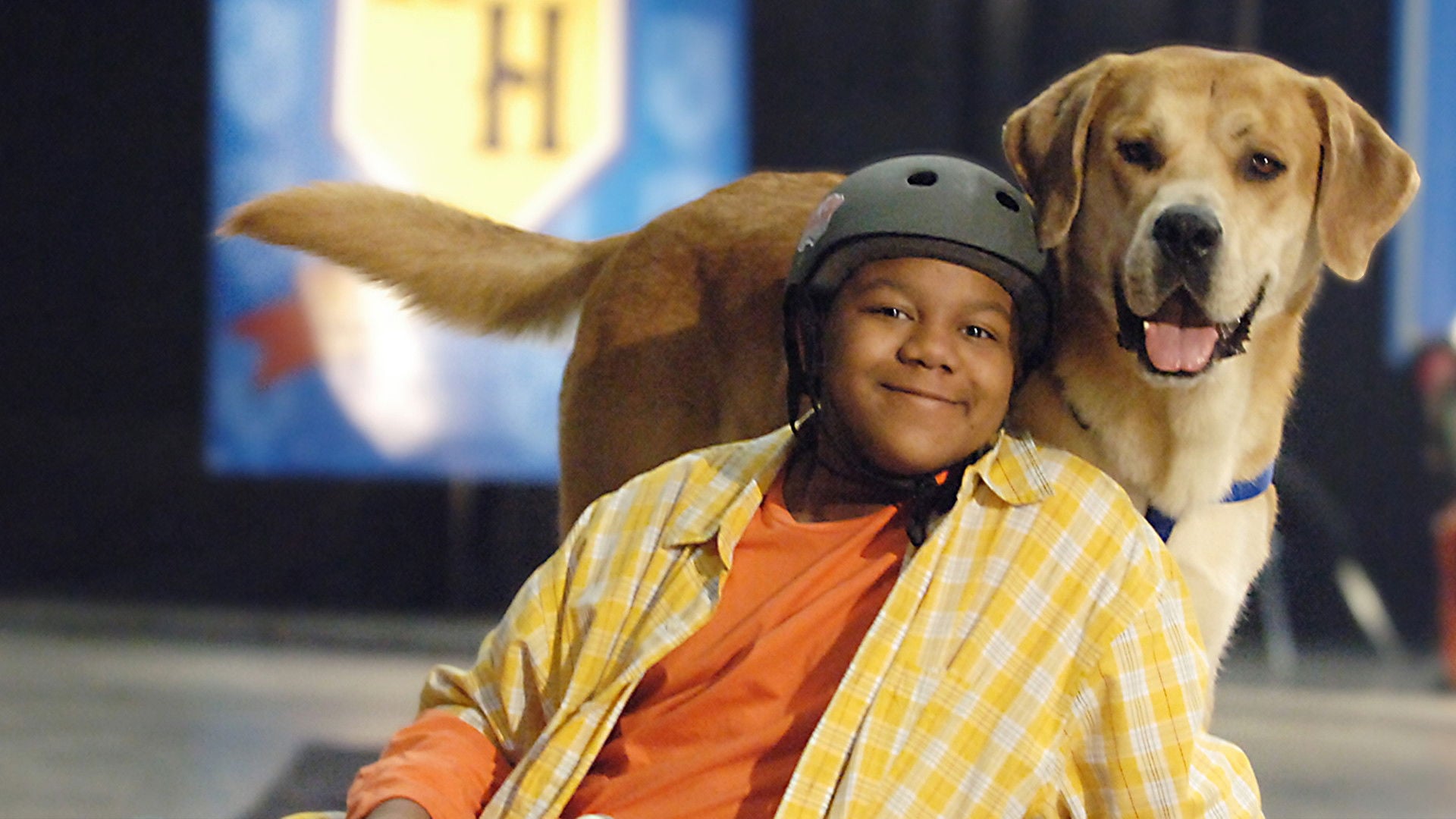 Foto do filme Cãofusões