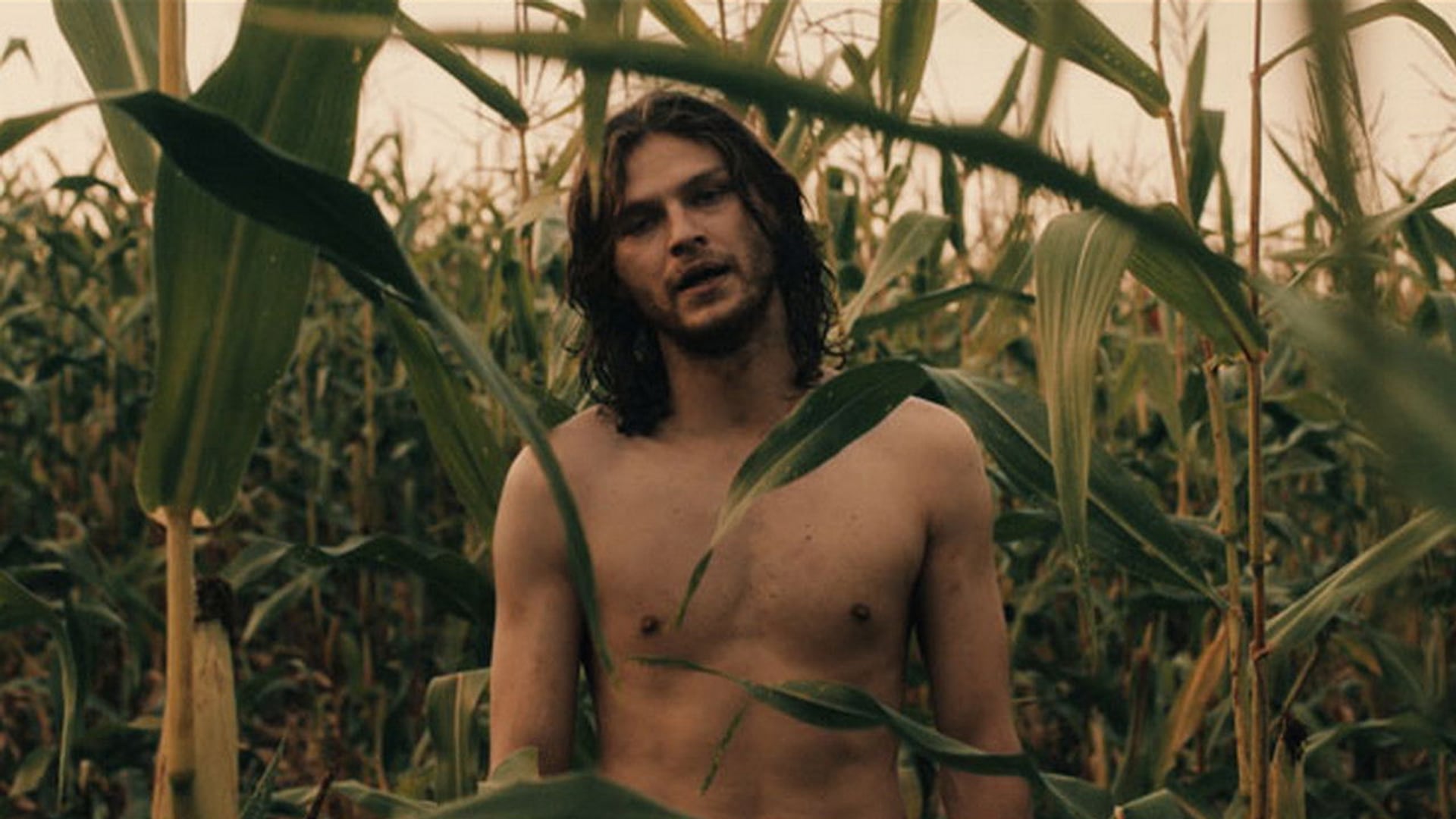 Foto do filme Em Nome de...