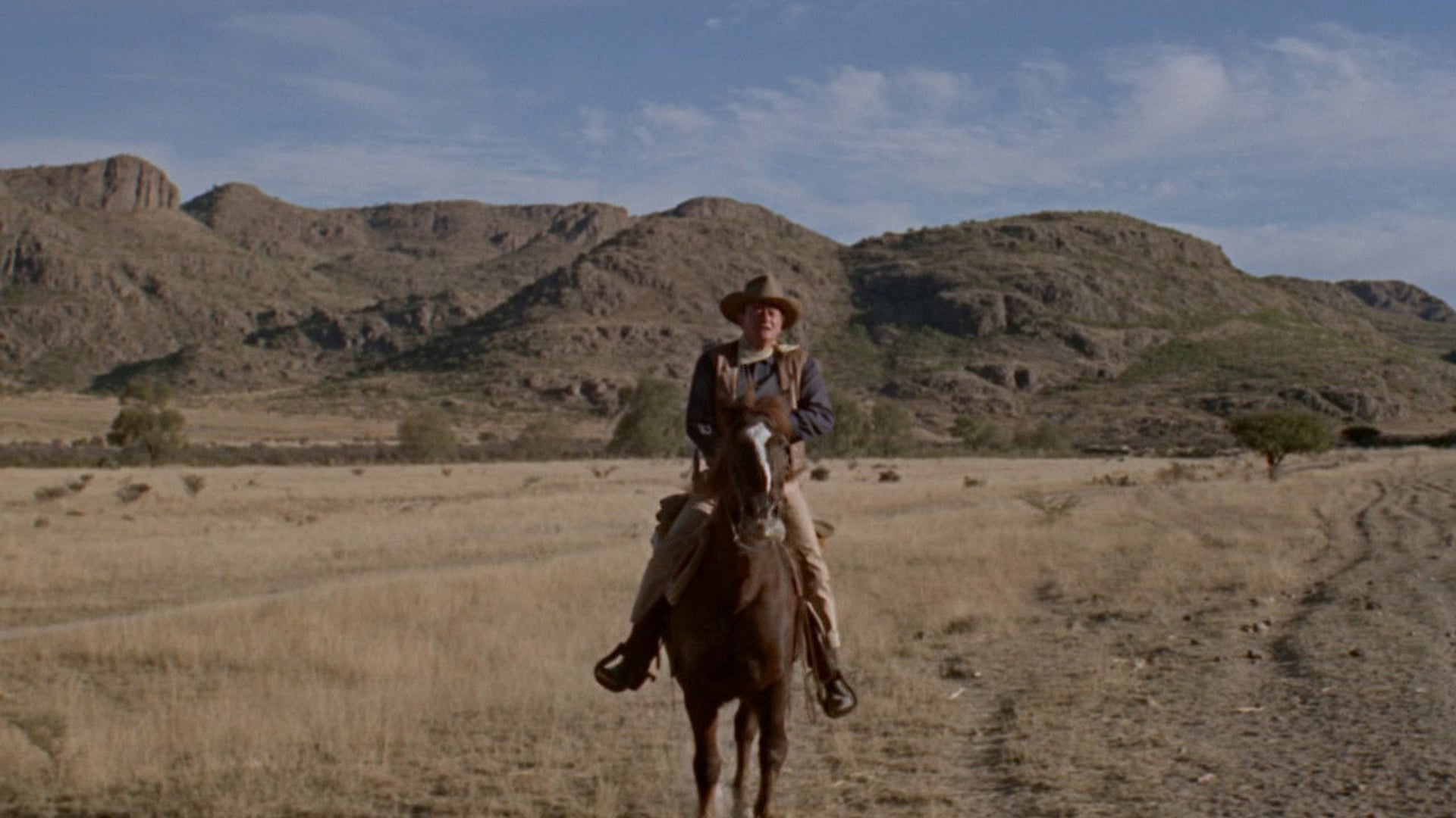 Foto do filme Os Filhos de Katie Elder