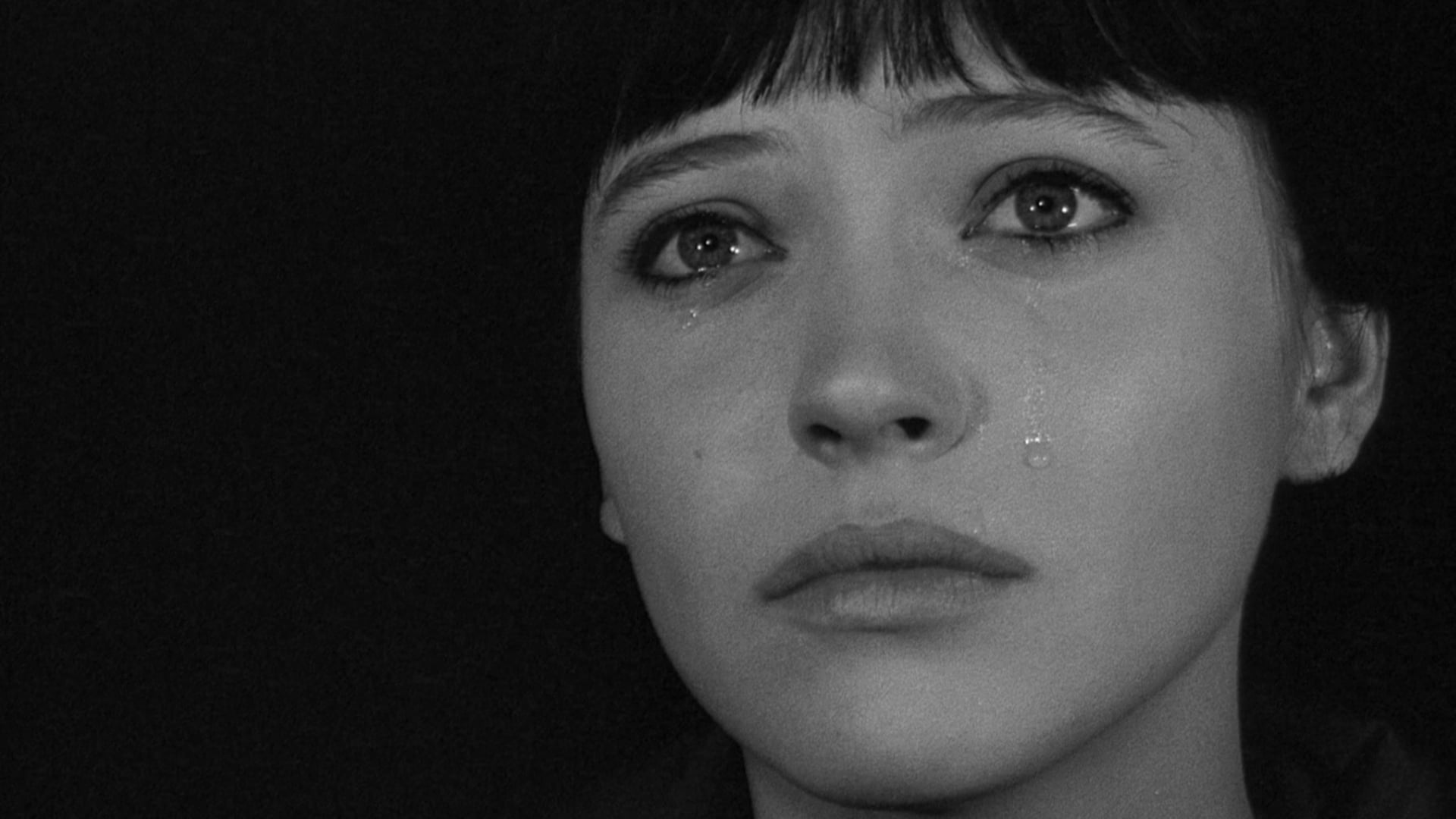 Foto do filme Viver a Vida