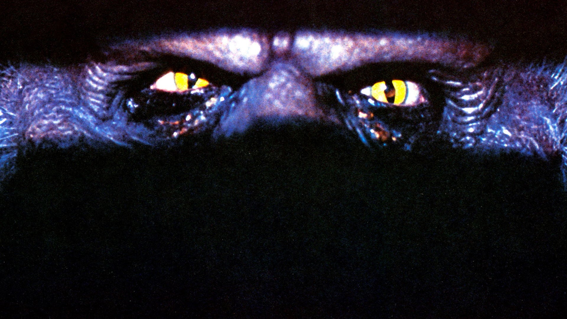 Foto do filme Creepshow: Arrepio do Medo