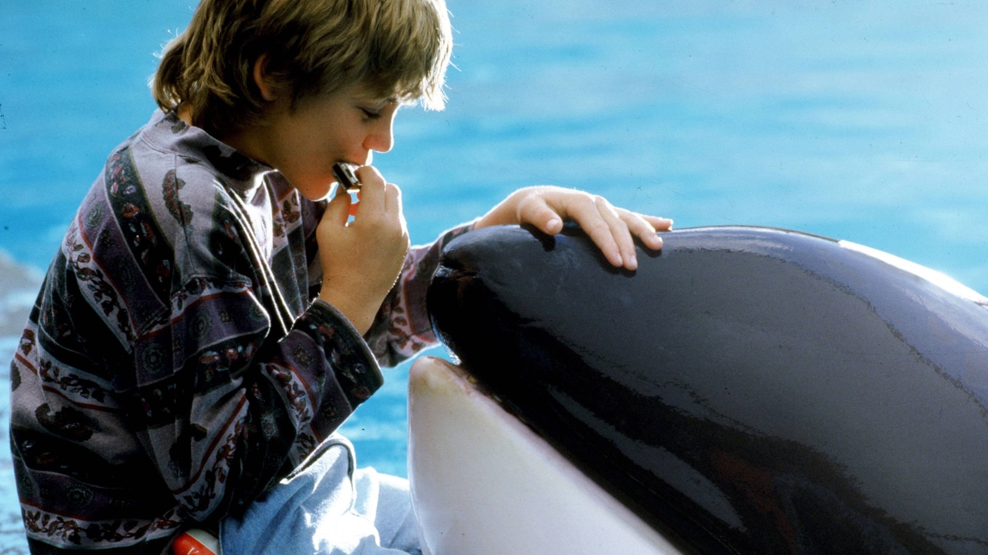 Foto do filme Free Willy