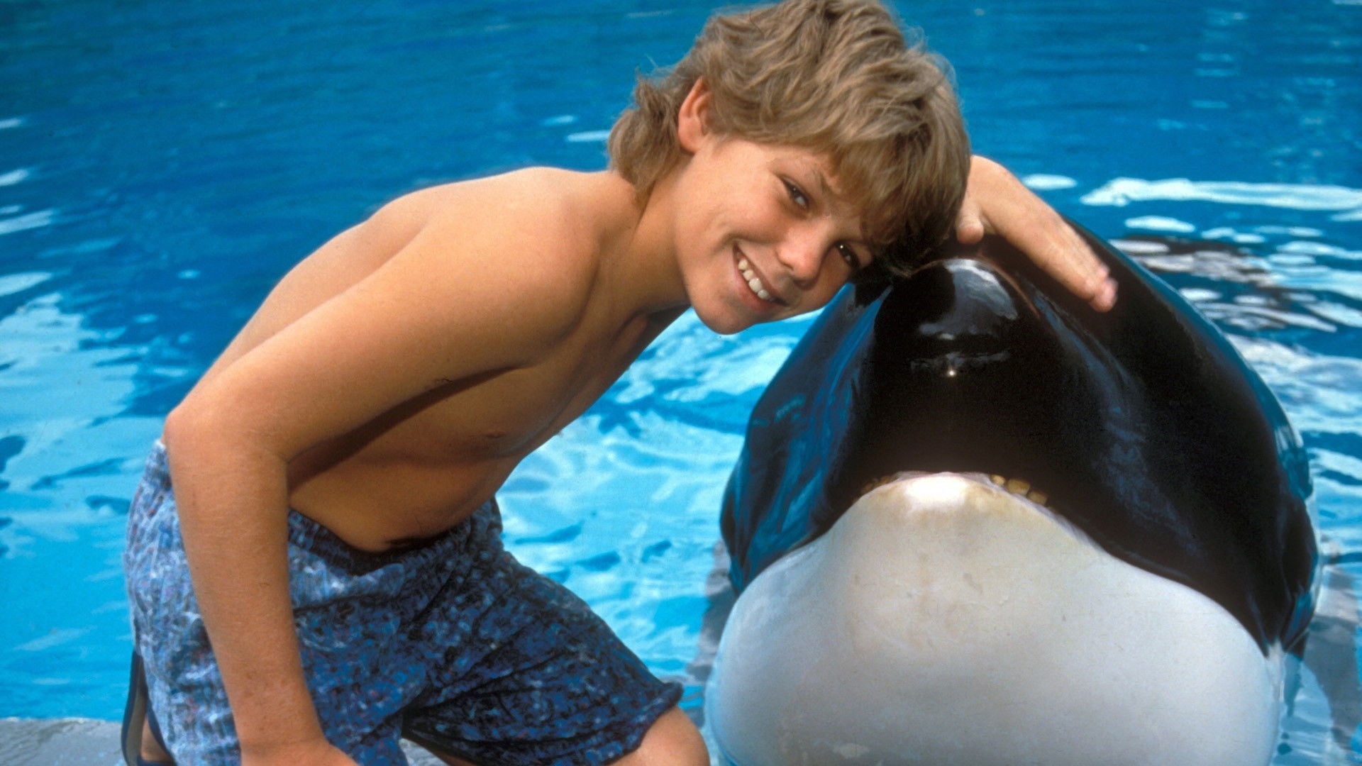 Foto do filme Free Willy