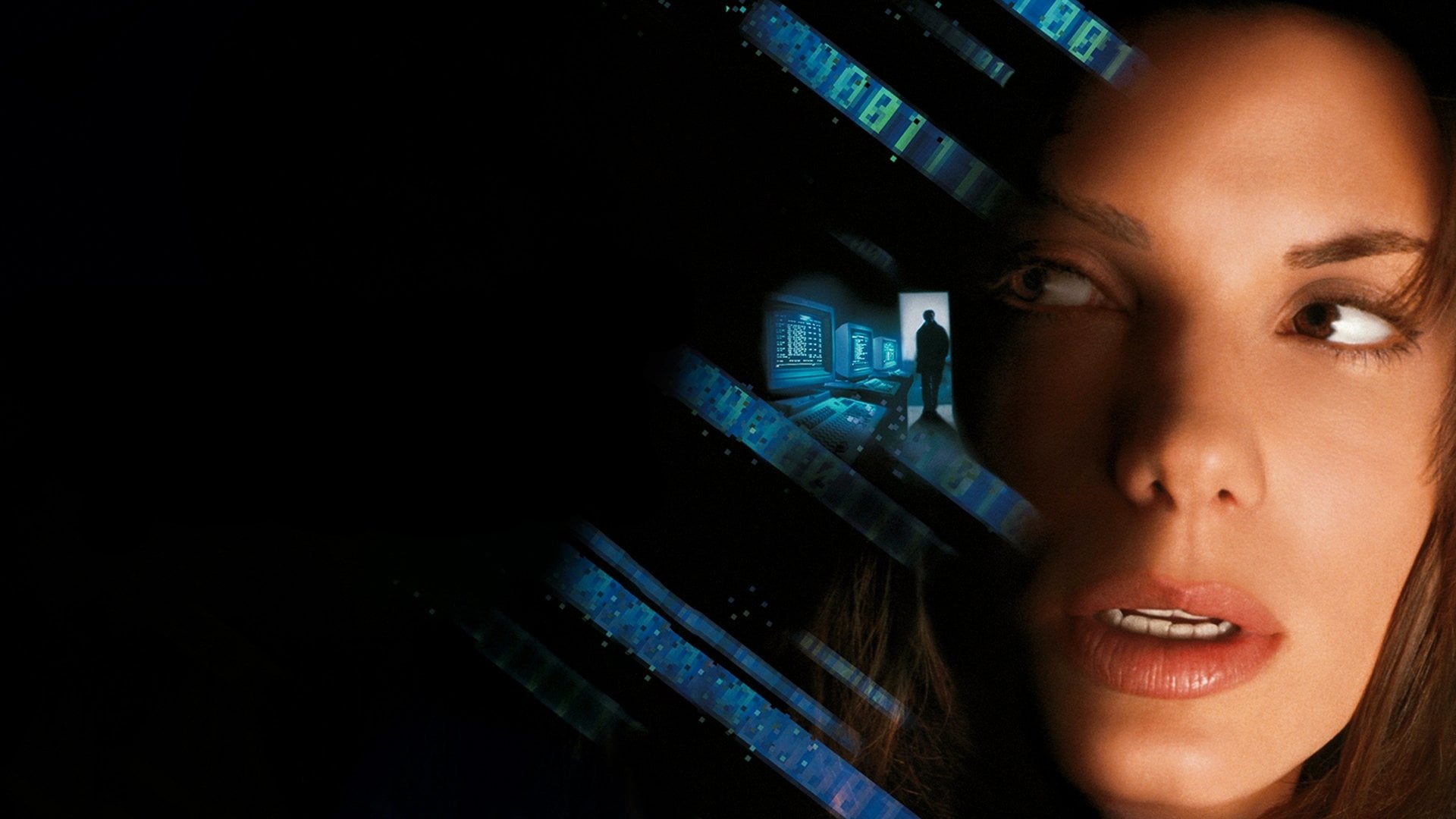 Foto do filme A Rede