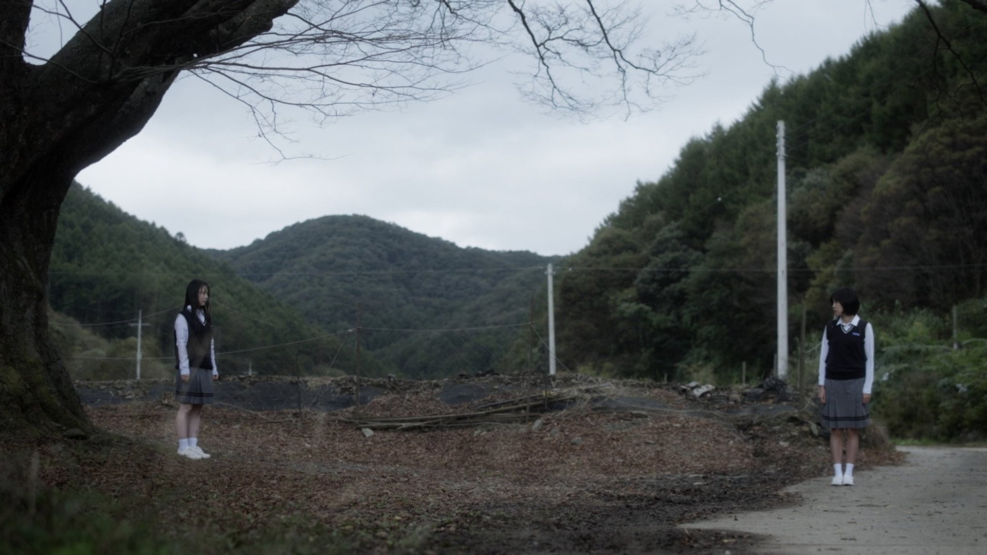 Foto do filme Walking the Spiral