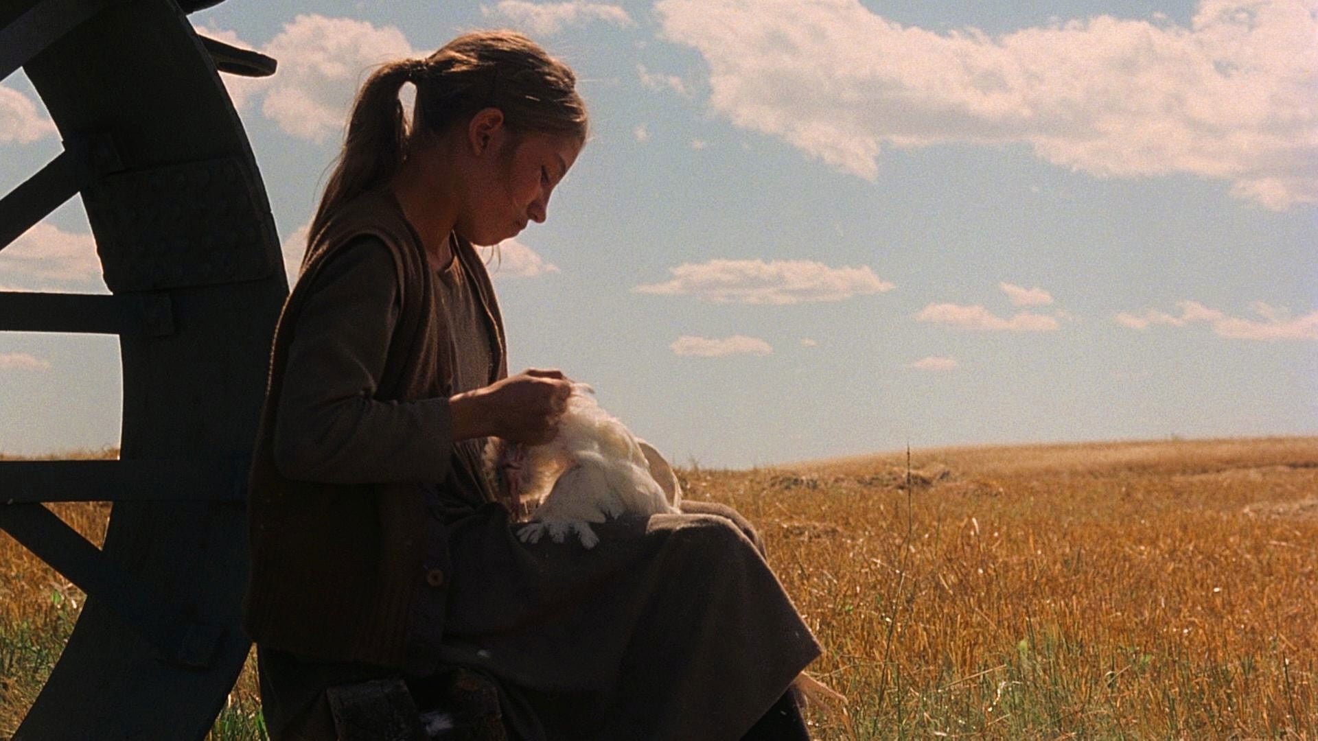 Foto do filme Cinzas no Paraíso