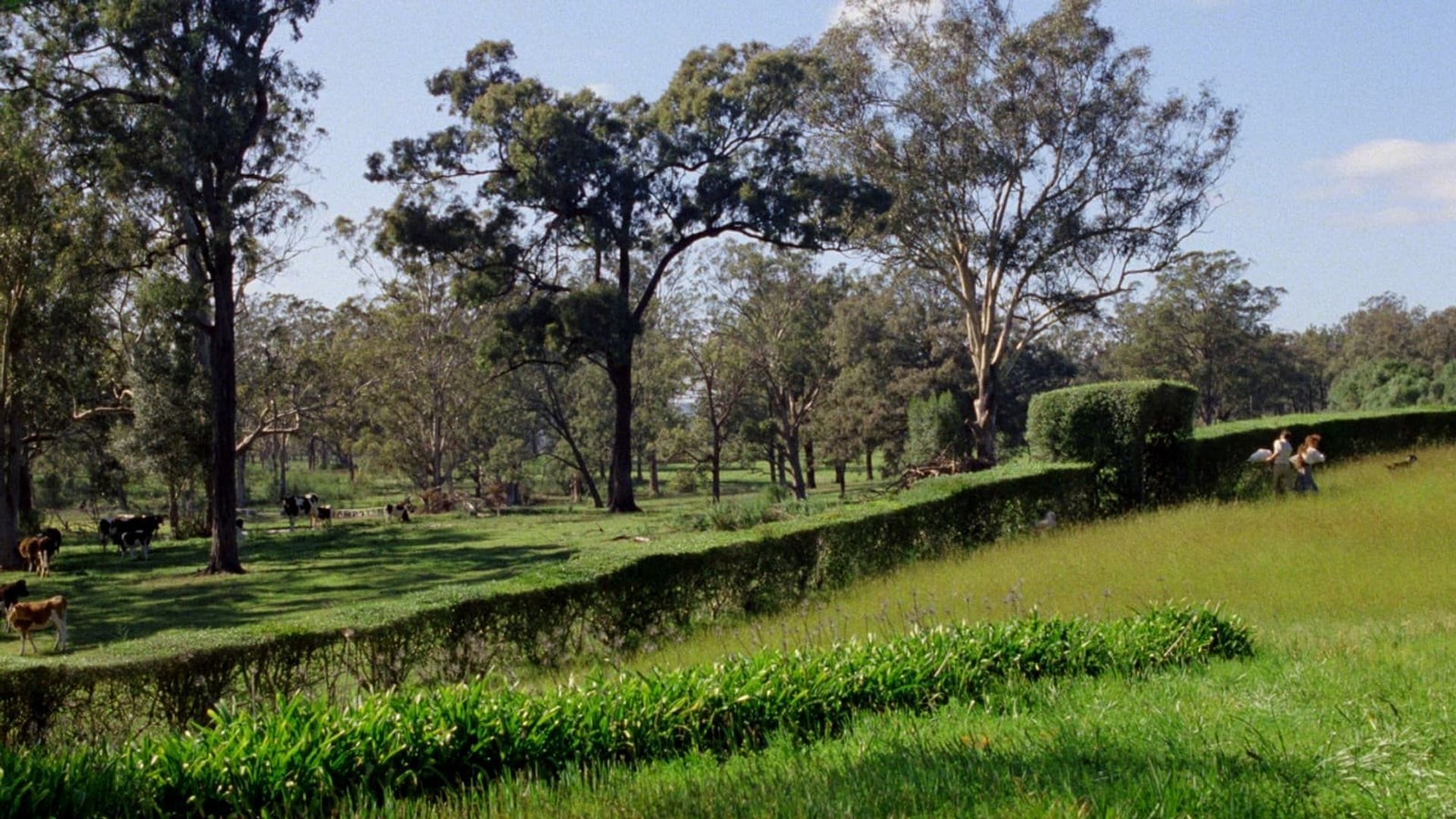 Foto do filme As Quatro Irmãs