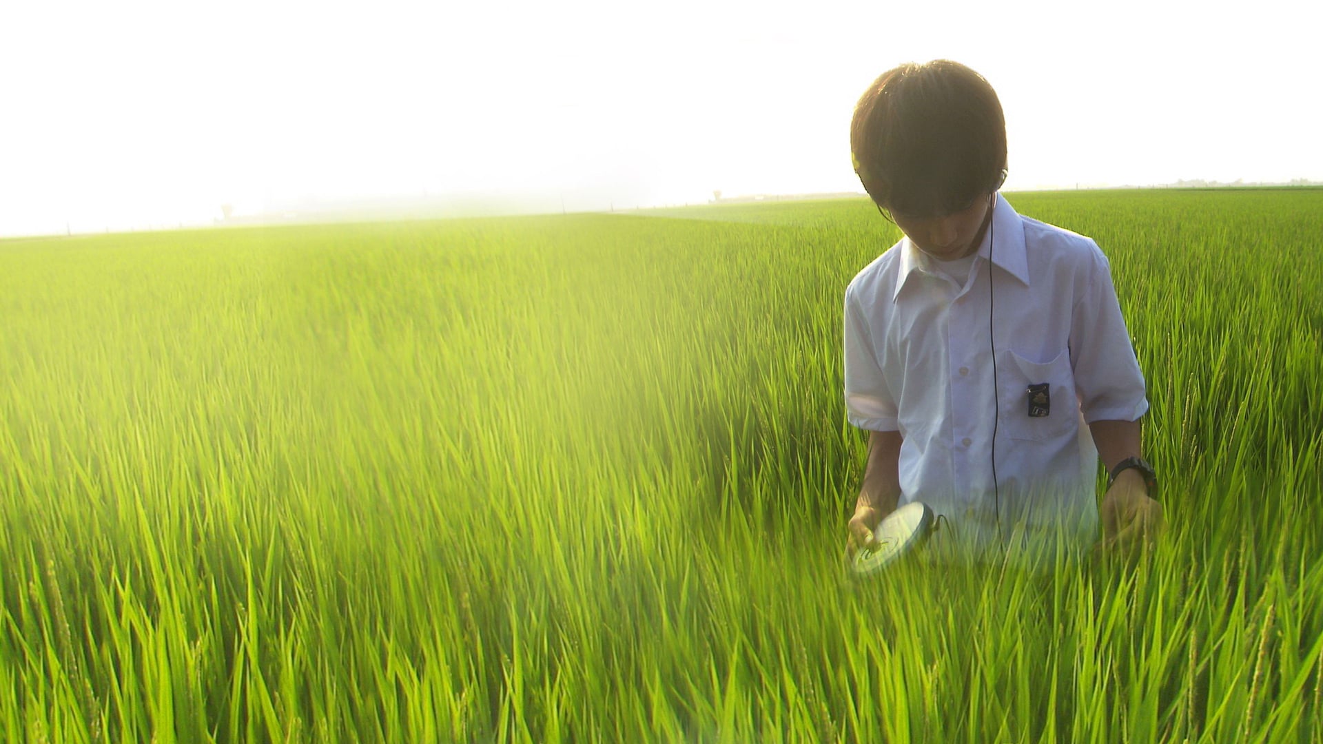 Foto do filme Tudo sobre Lily Chou Chou