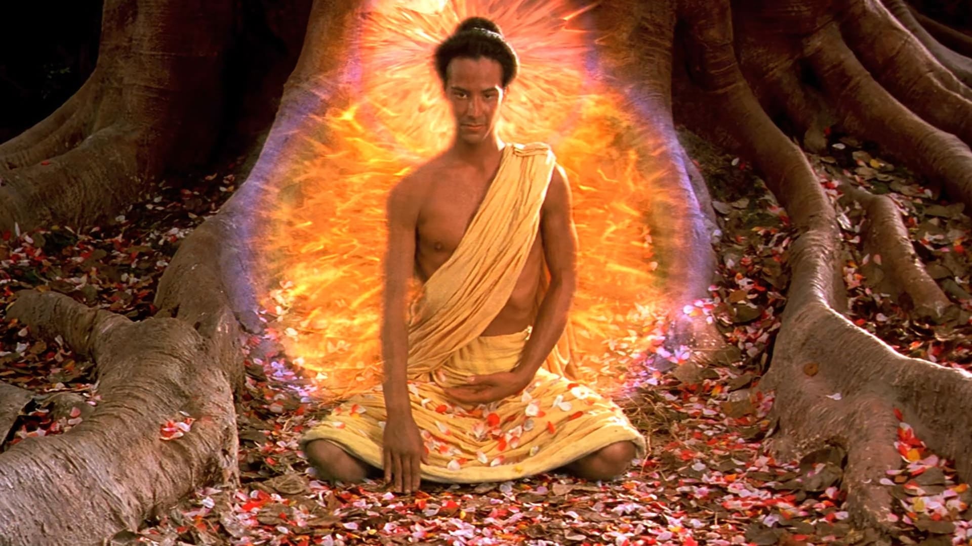 Foto do filme O Pequeno Buda