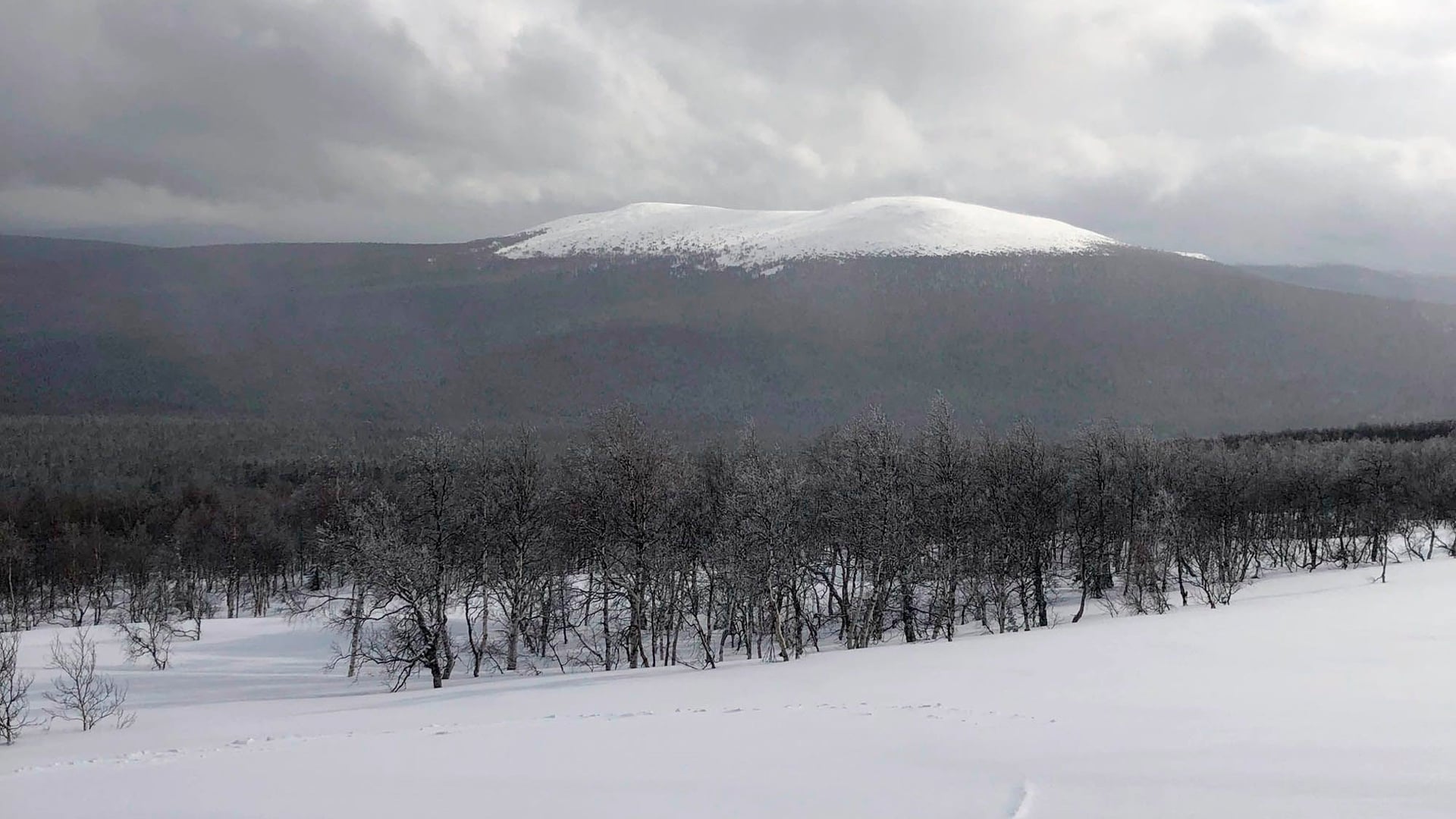 Foto do filme O Mistério da Passagem da Morte