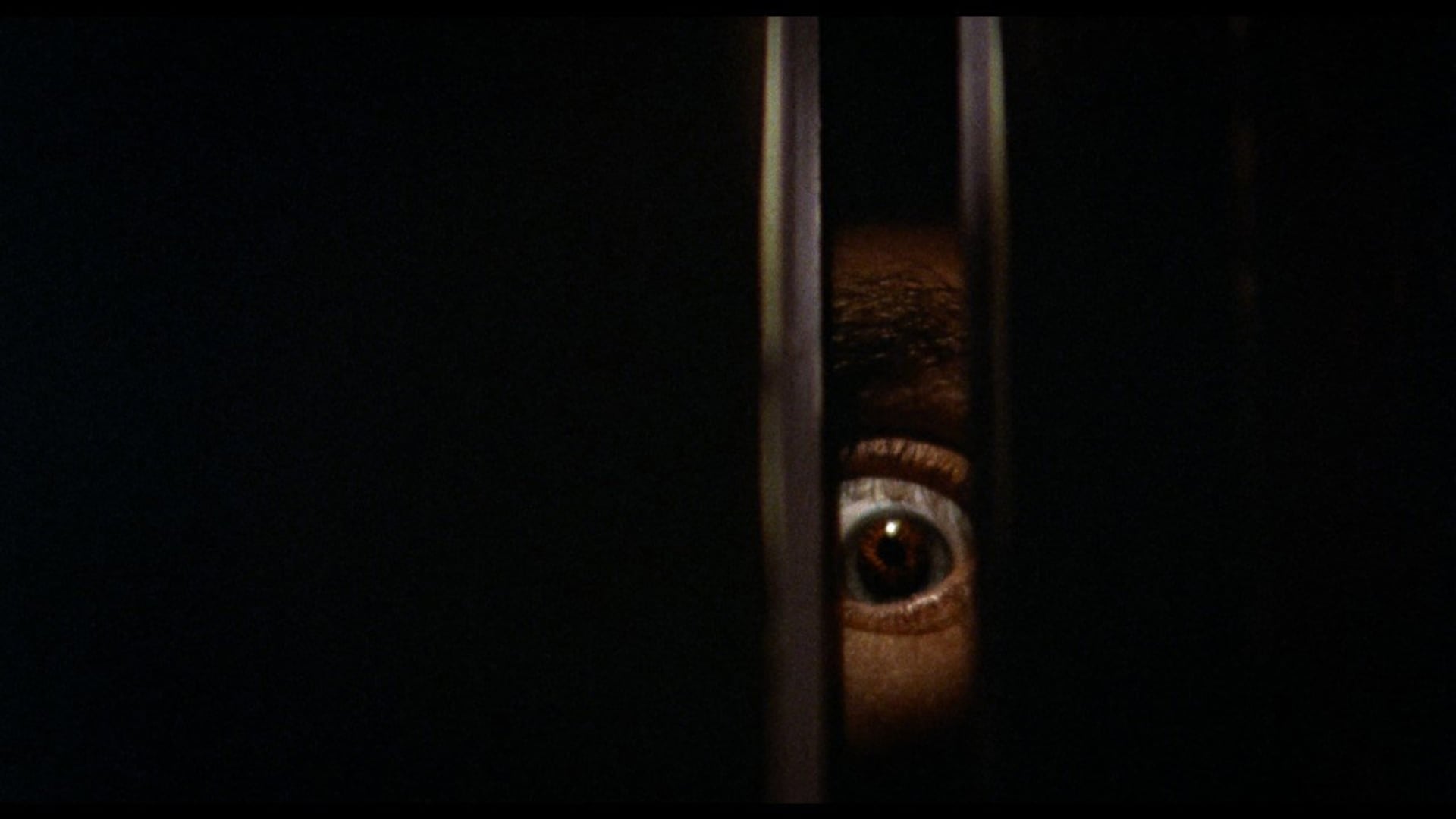 Foto do filme Noite do Terror
