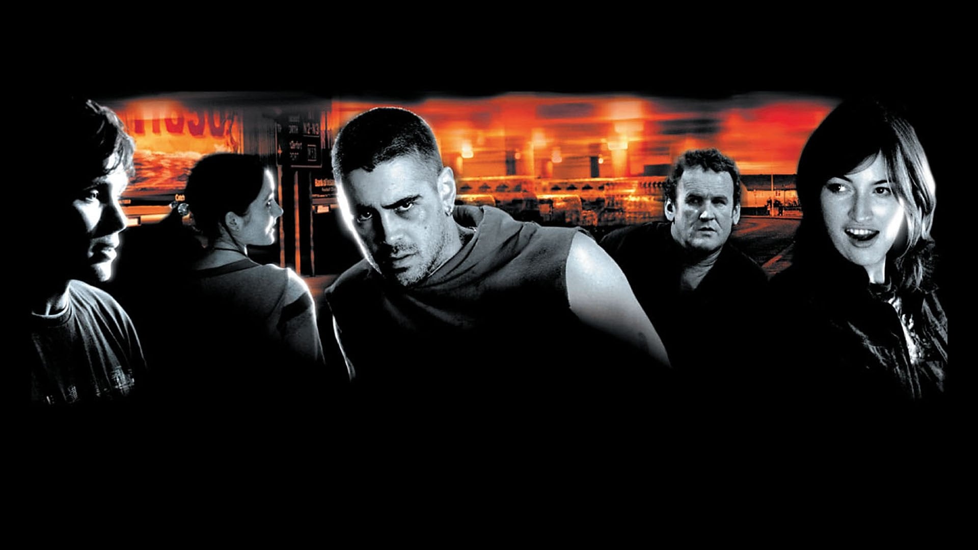 Foto do filme Dias Selvagens