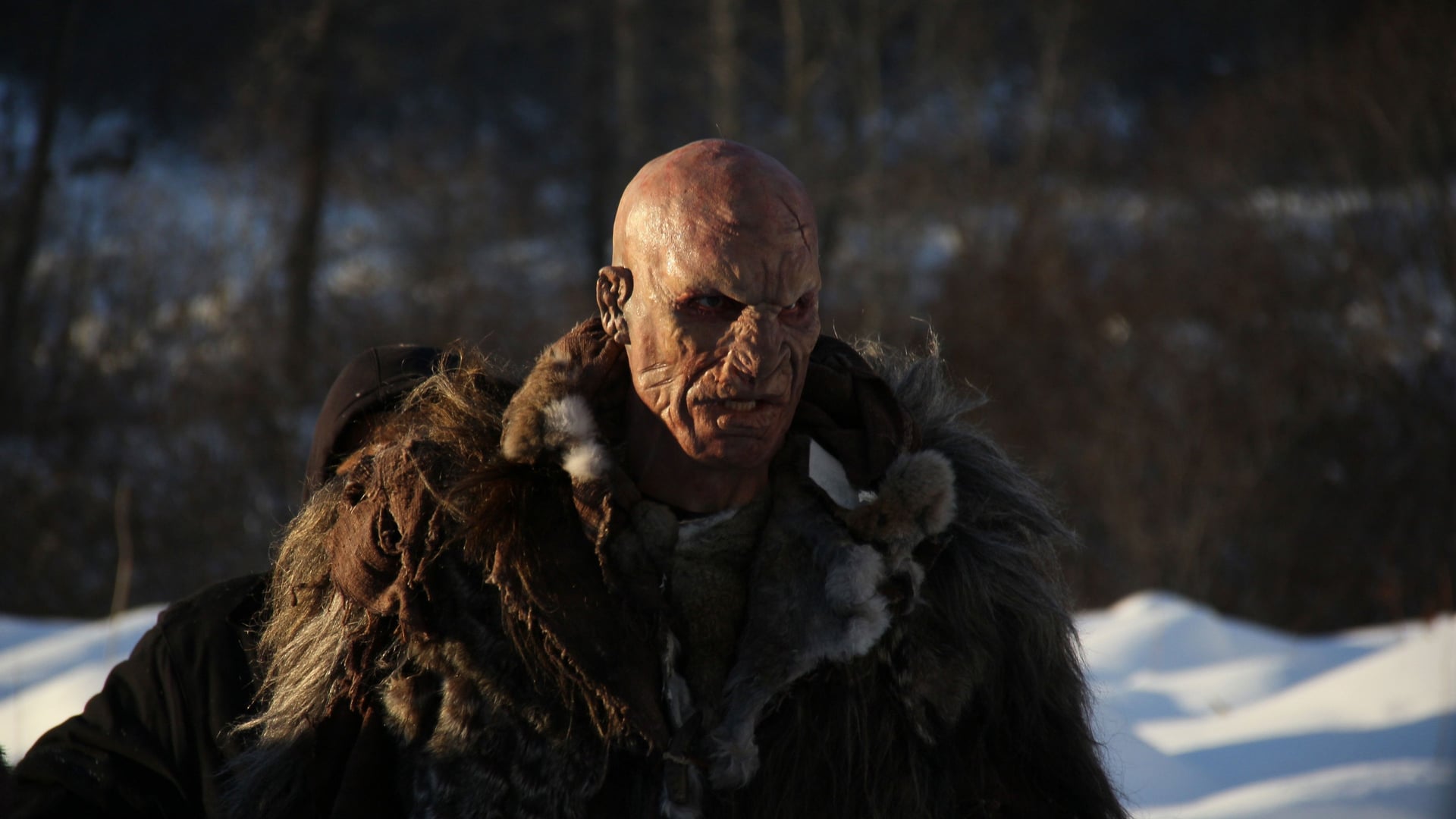 Foto do filme The Frankenstein Theory