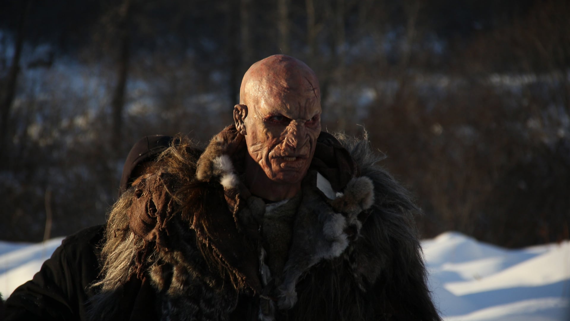 Foto do filme The Frankenstein Theory