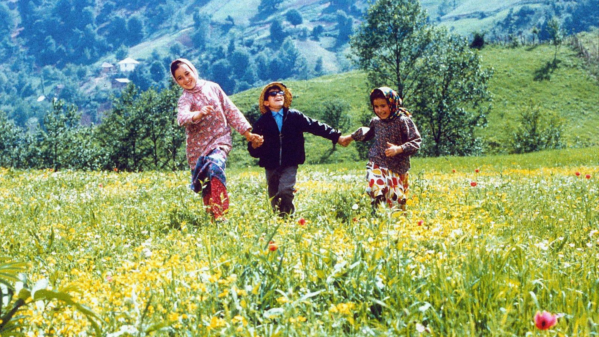 Foto do filme A Cor do Paraíso